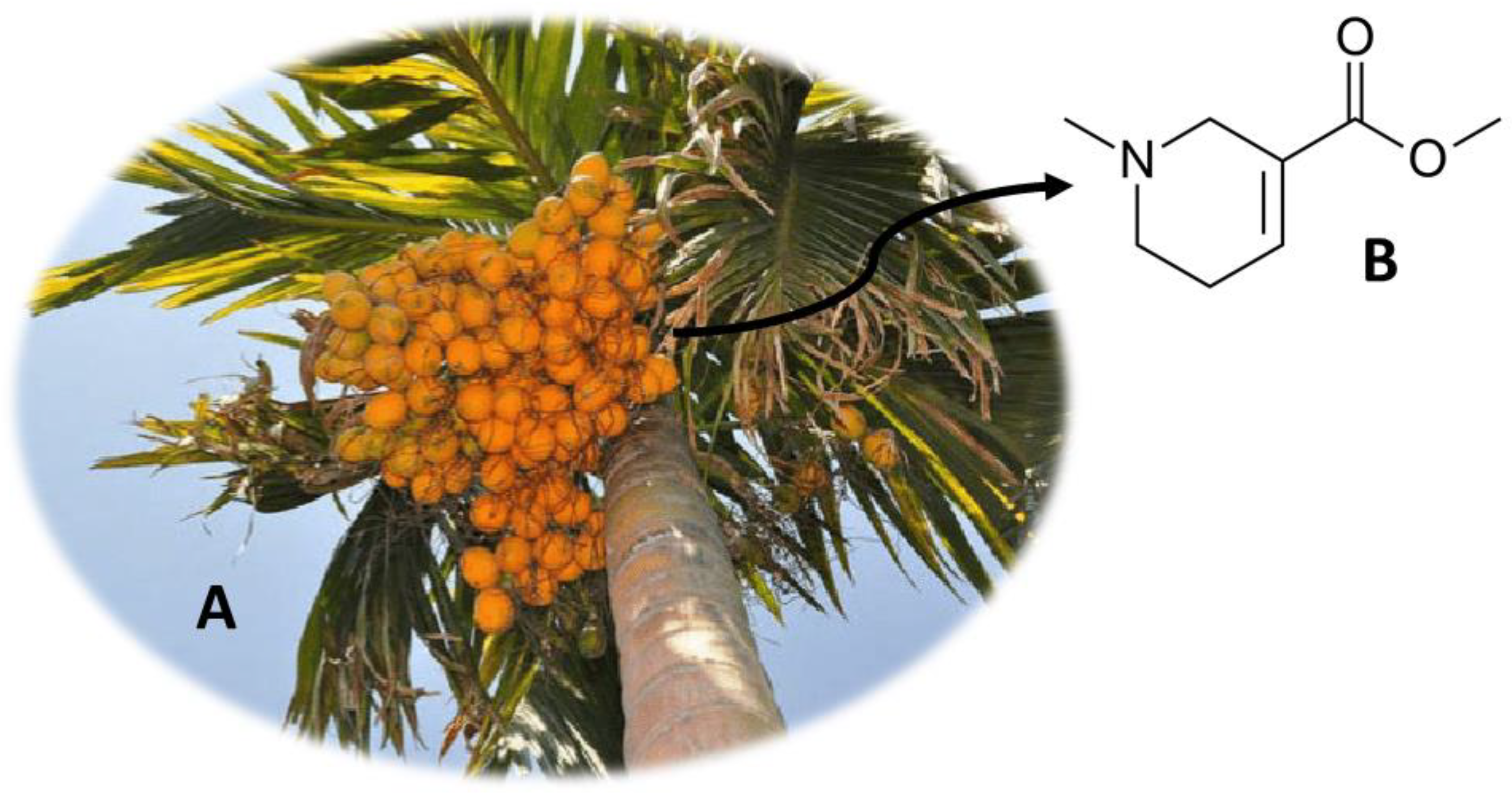 Molecules 26 01397 g001