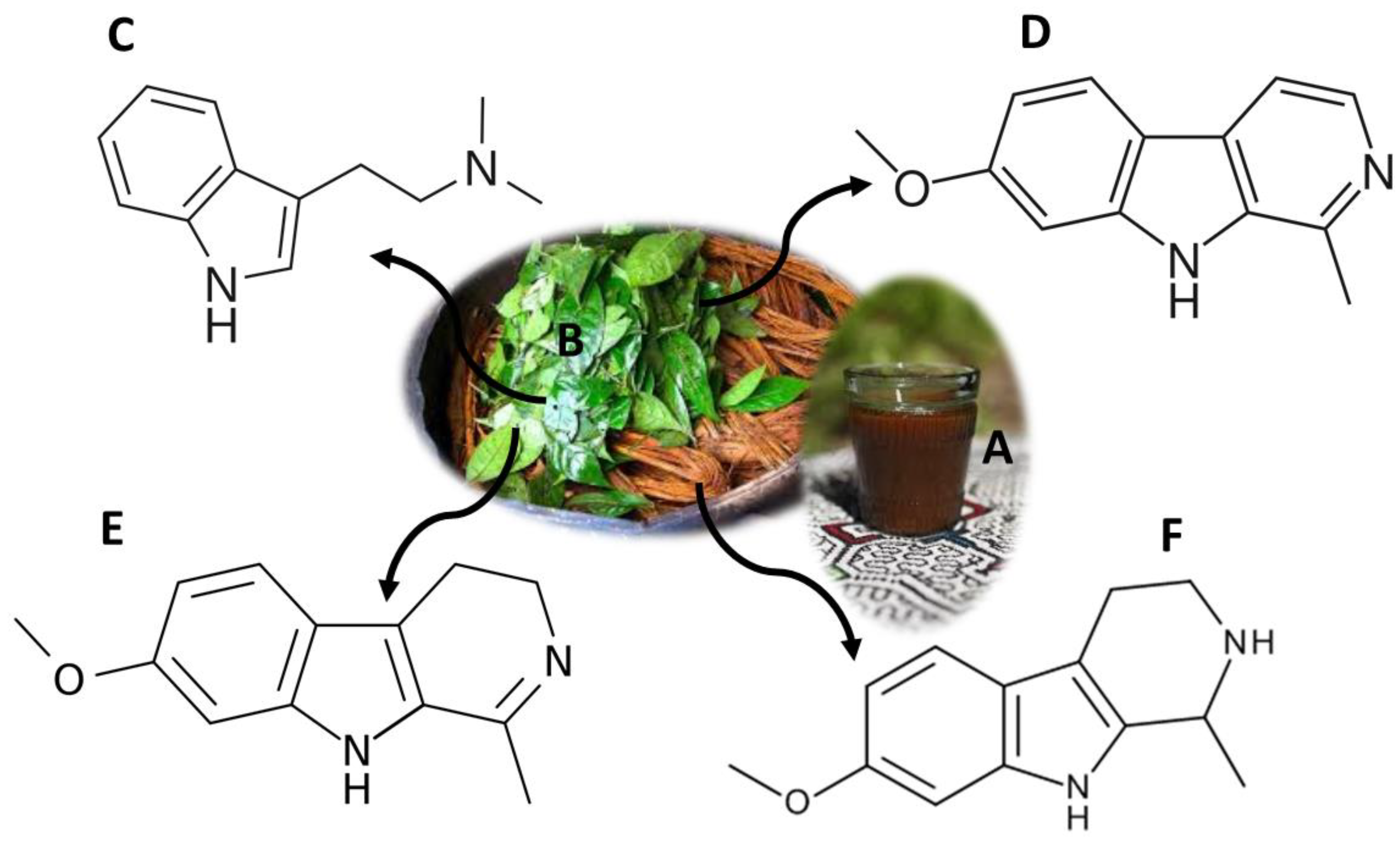 Molecules 26 01397 g003
