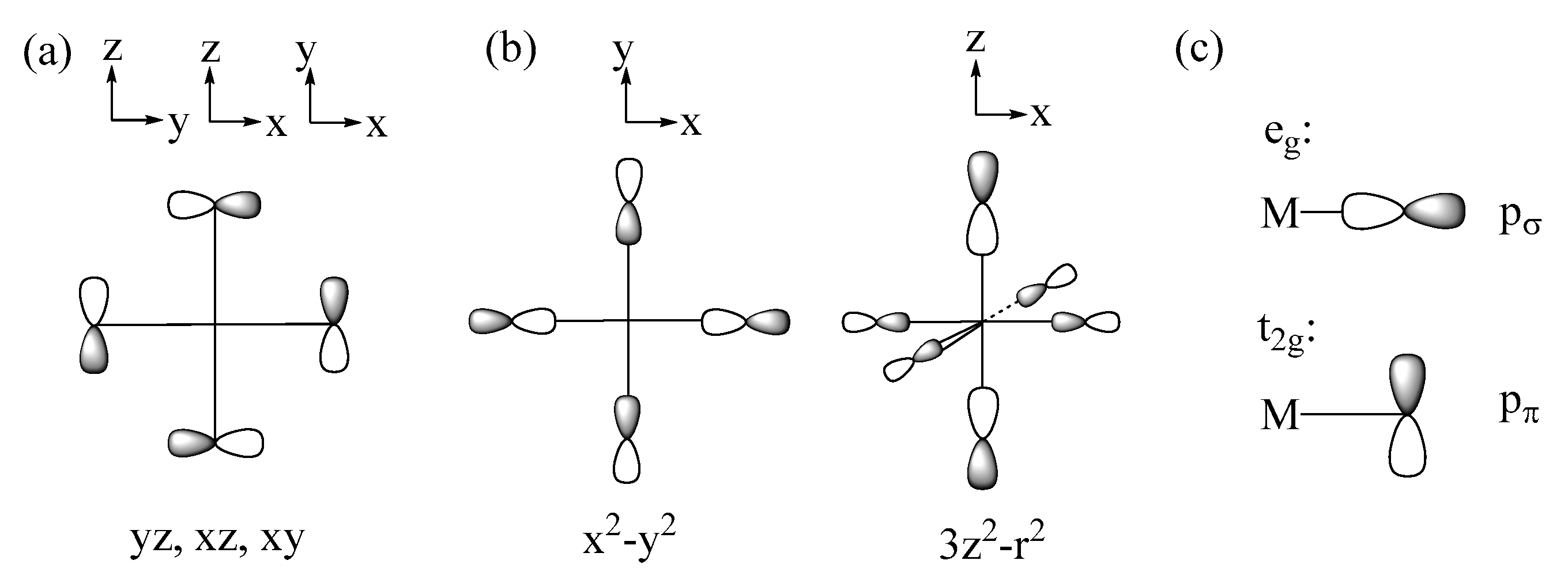 Molecules 26 01410 g004