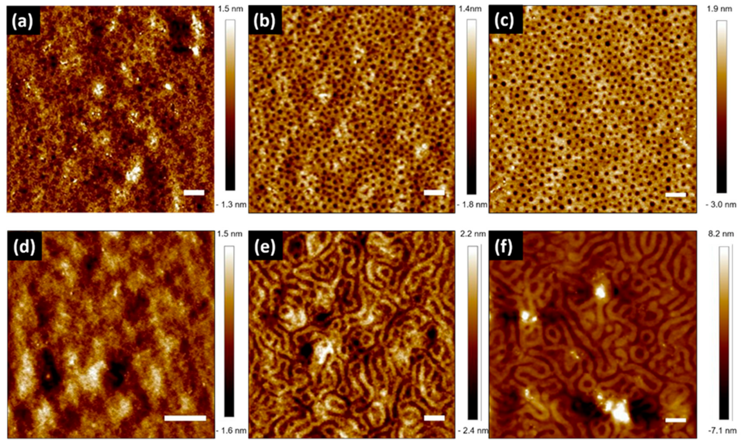 Molecules 26 01412 g002 Molecules 26 01412 g002