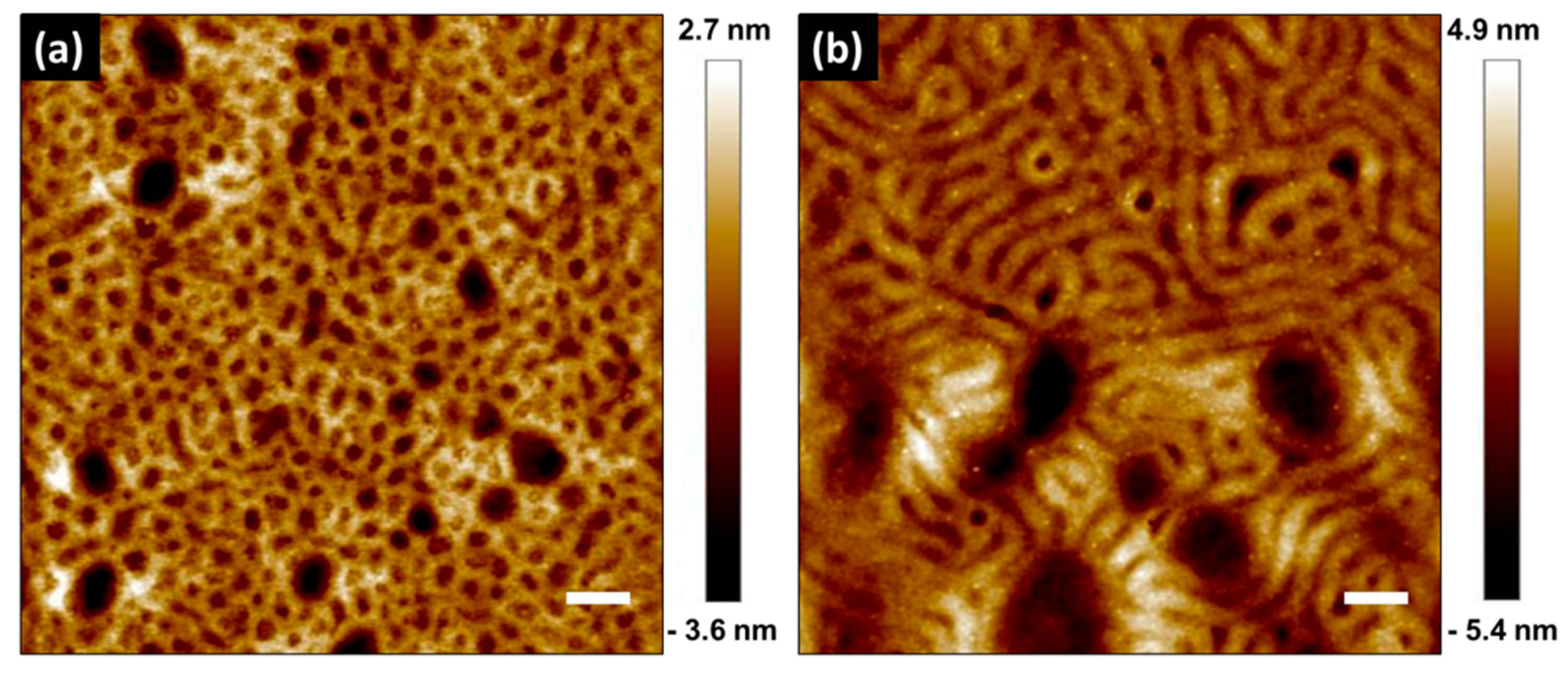 Molecules 26 01412 g003 Molecules 26 01412 g003