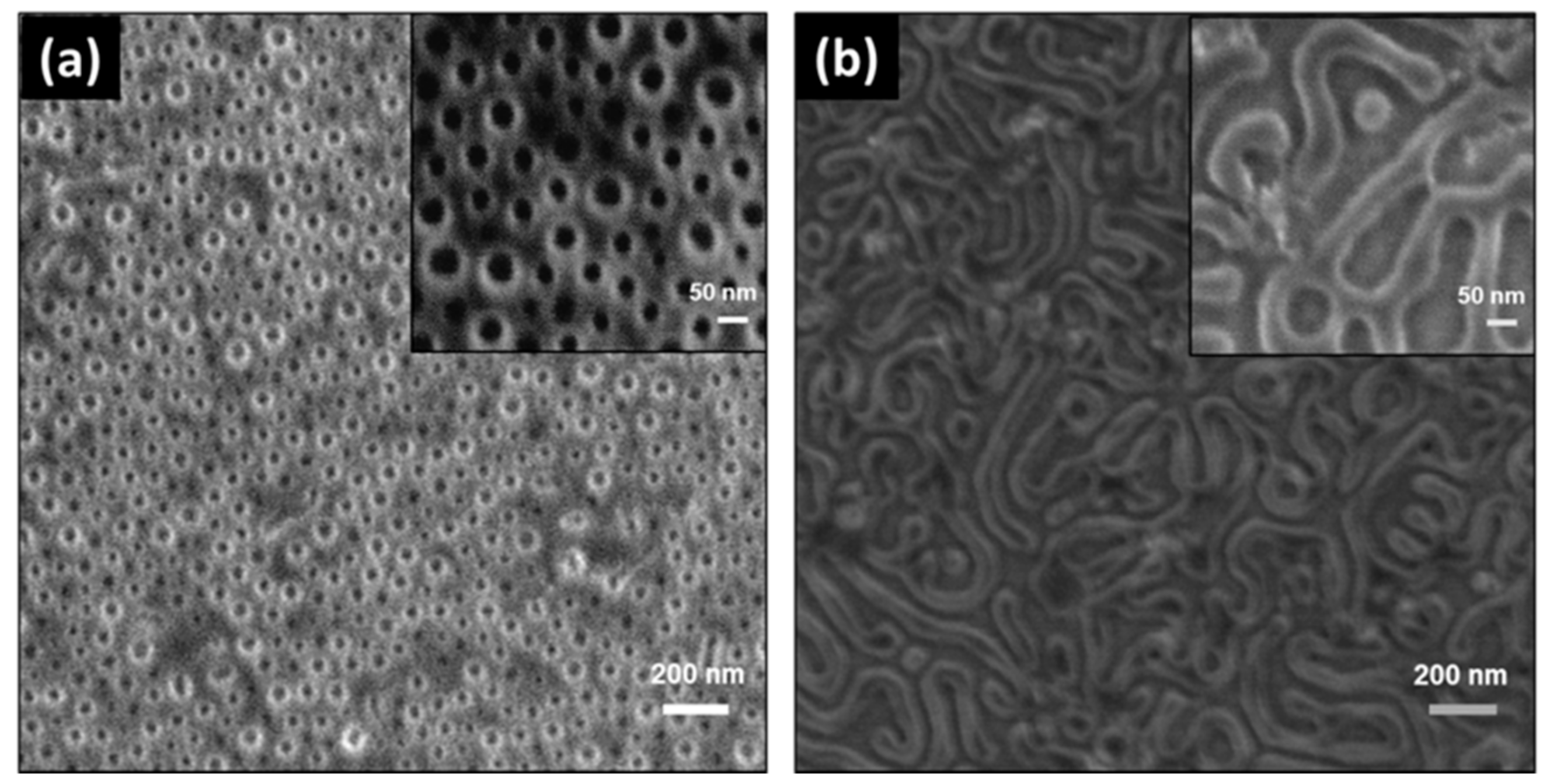 Molecules 26 01412 g004 Molecules 26 01412 g004