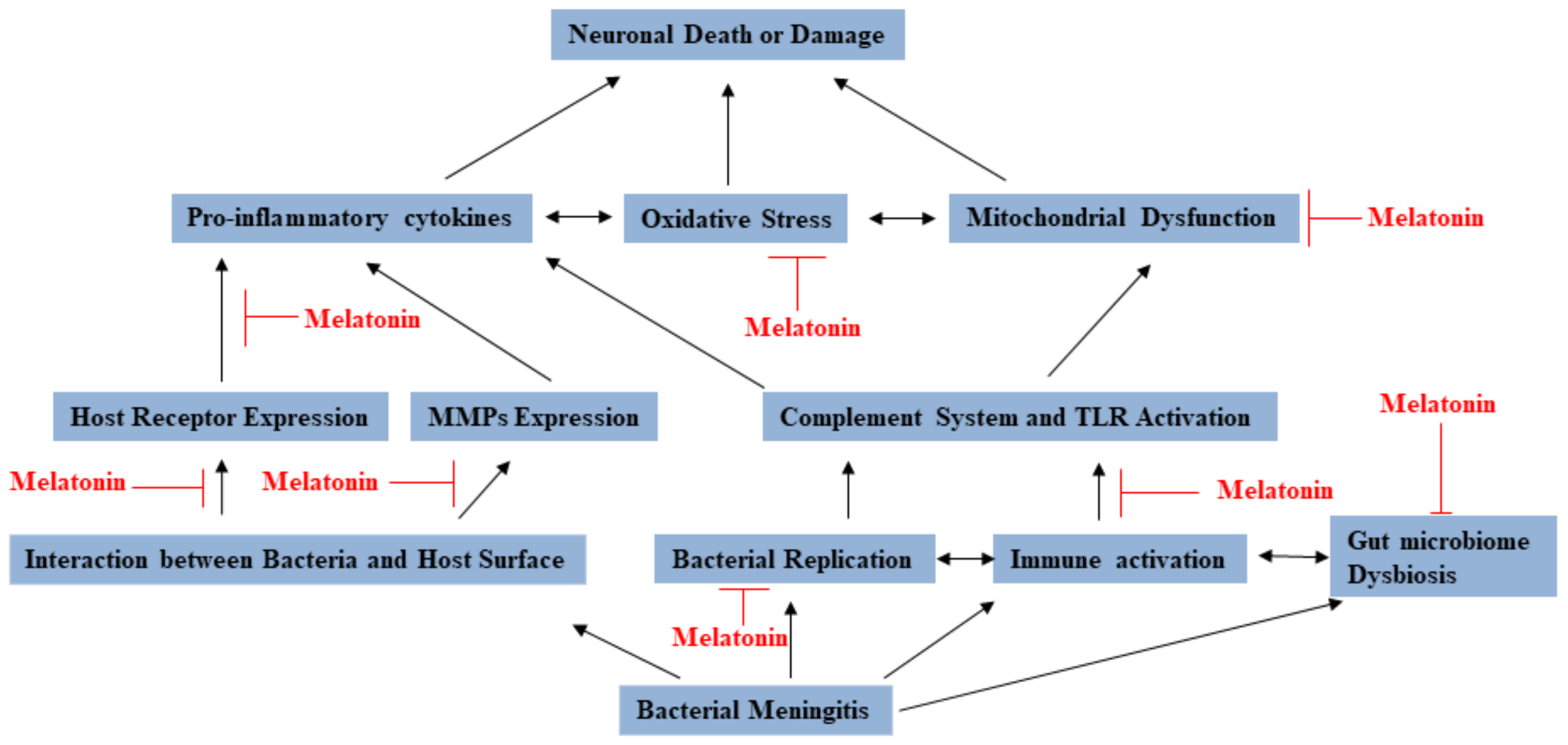 Molecules 26 01419 g002 Molecules 26 01419 g002