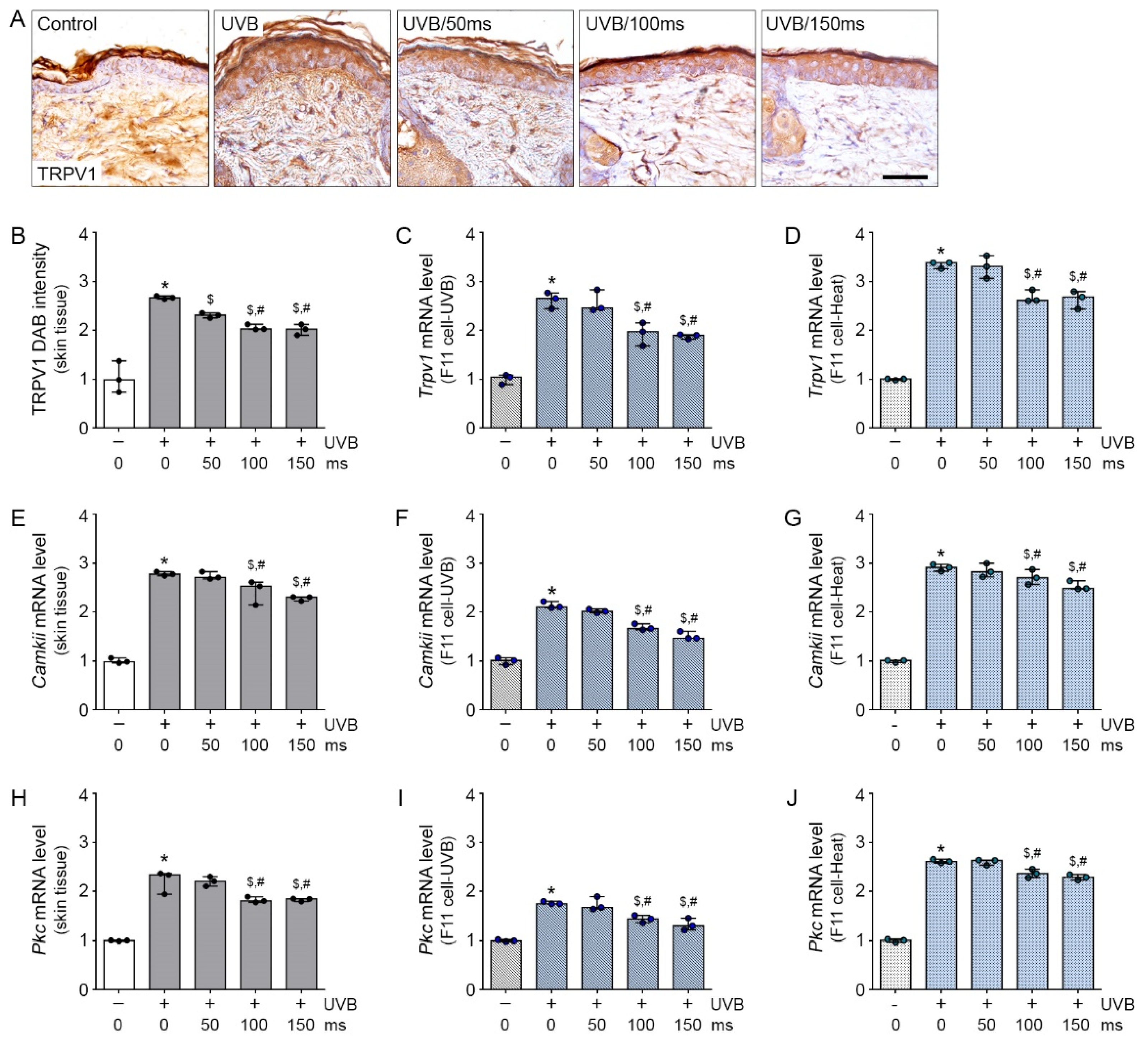 Molecules 26 01424 g001