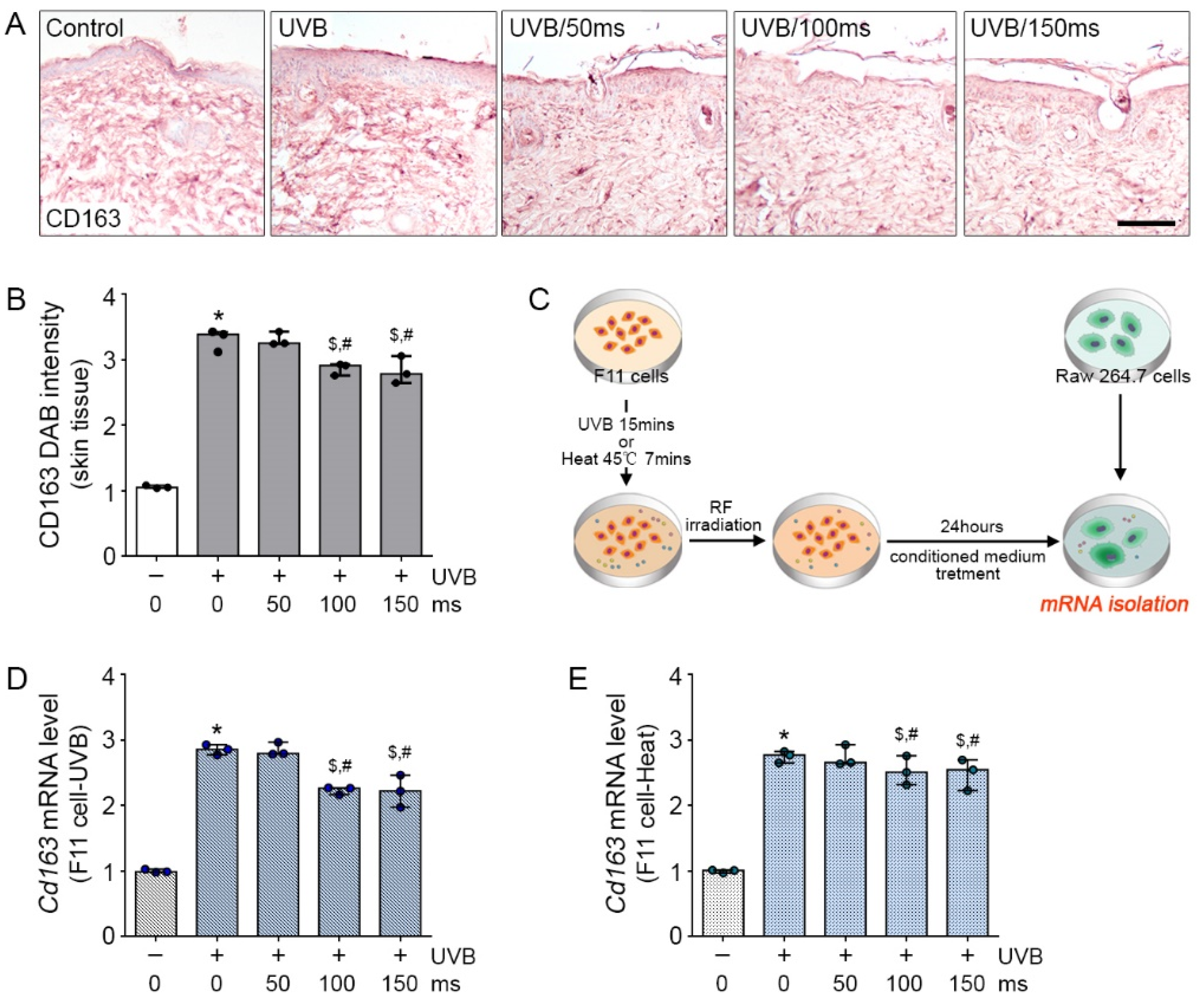 Molecules 26 01424 g003