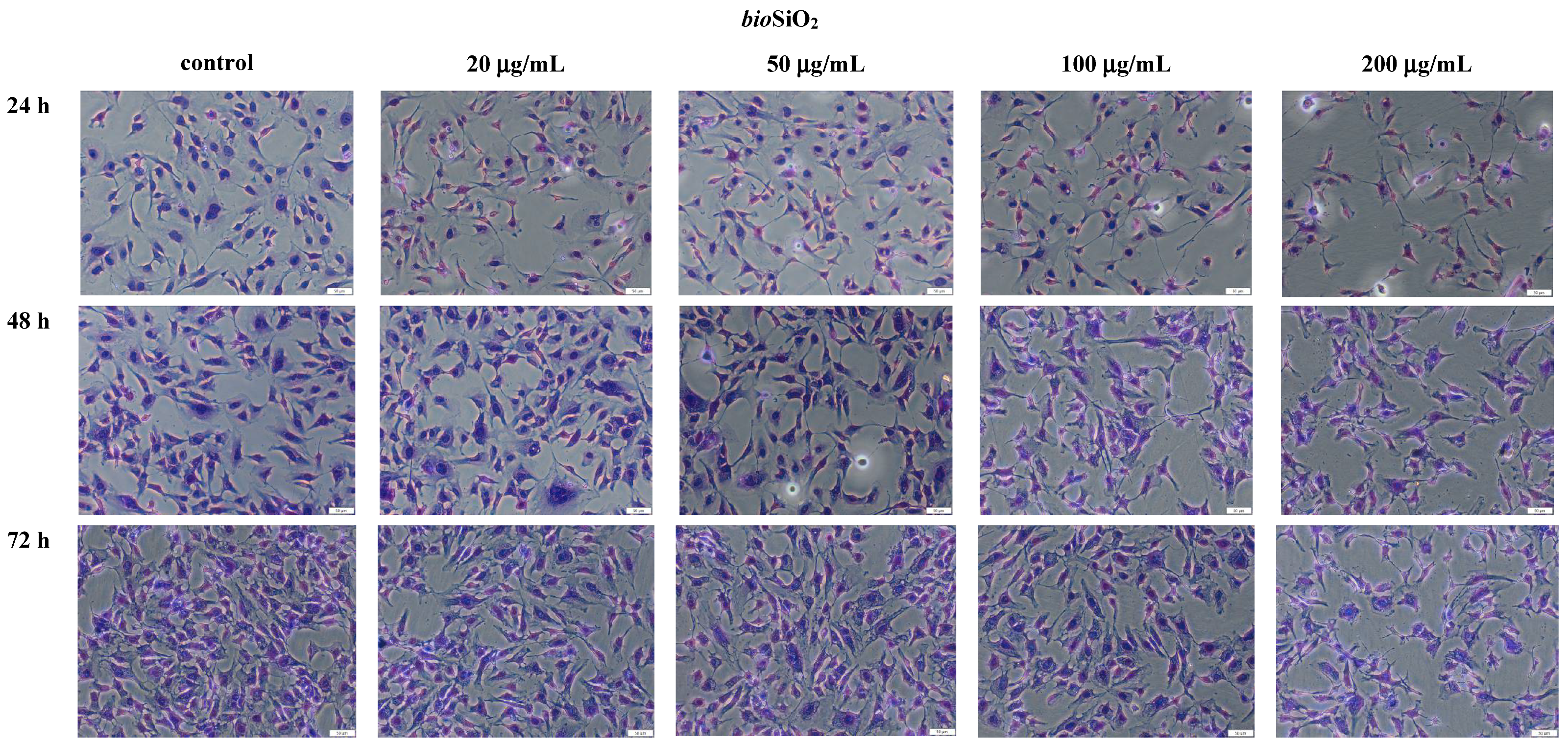 Molecules 26 01427 g005 Molecules 26 01427 g005