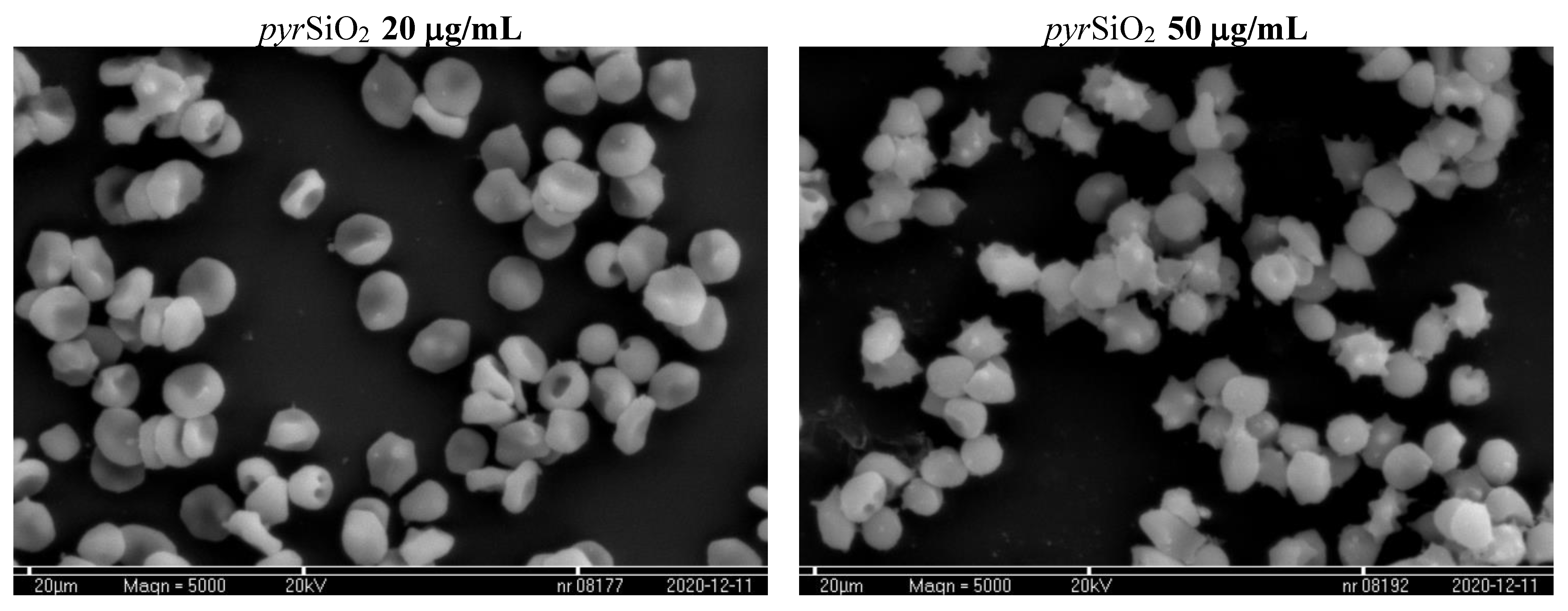 Molecules 26 01427 g012b Molecules 26 01427 g012b