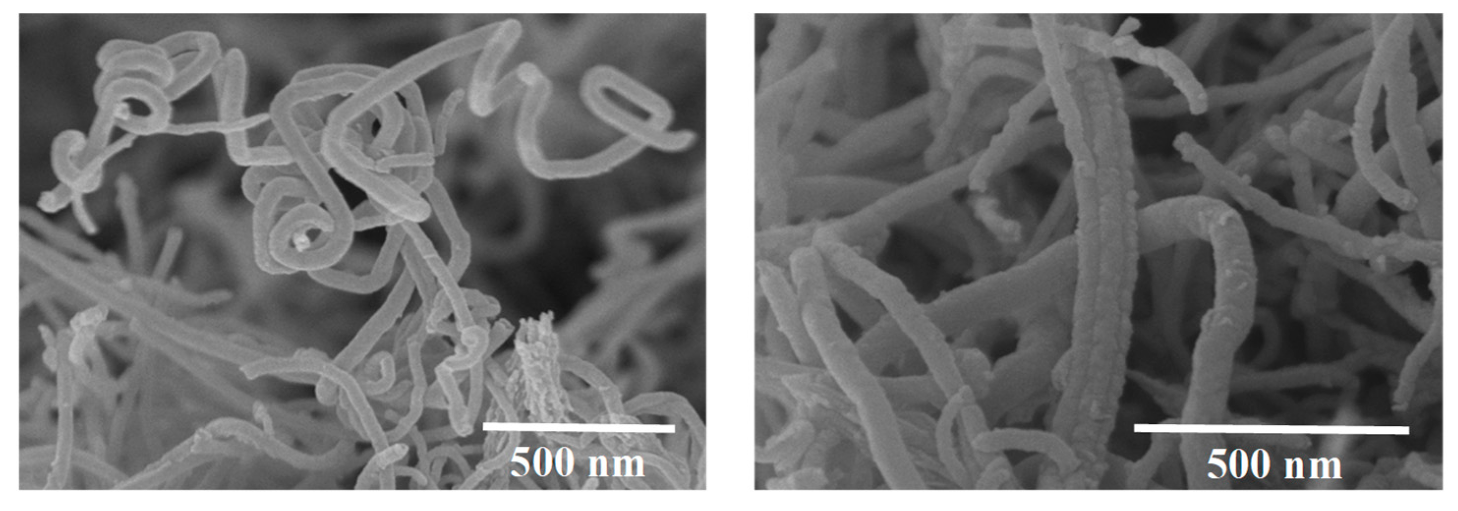 Molecules 26 01430 g003 Molecules 26 01430 g003