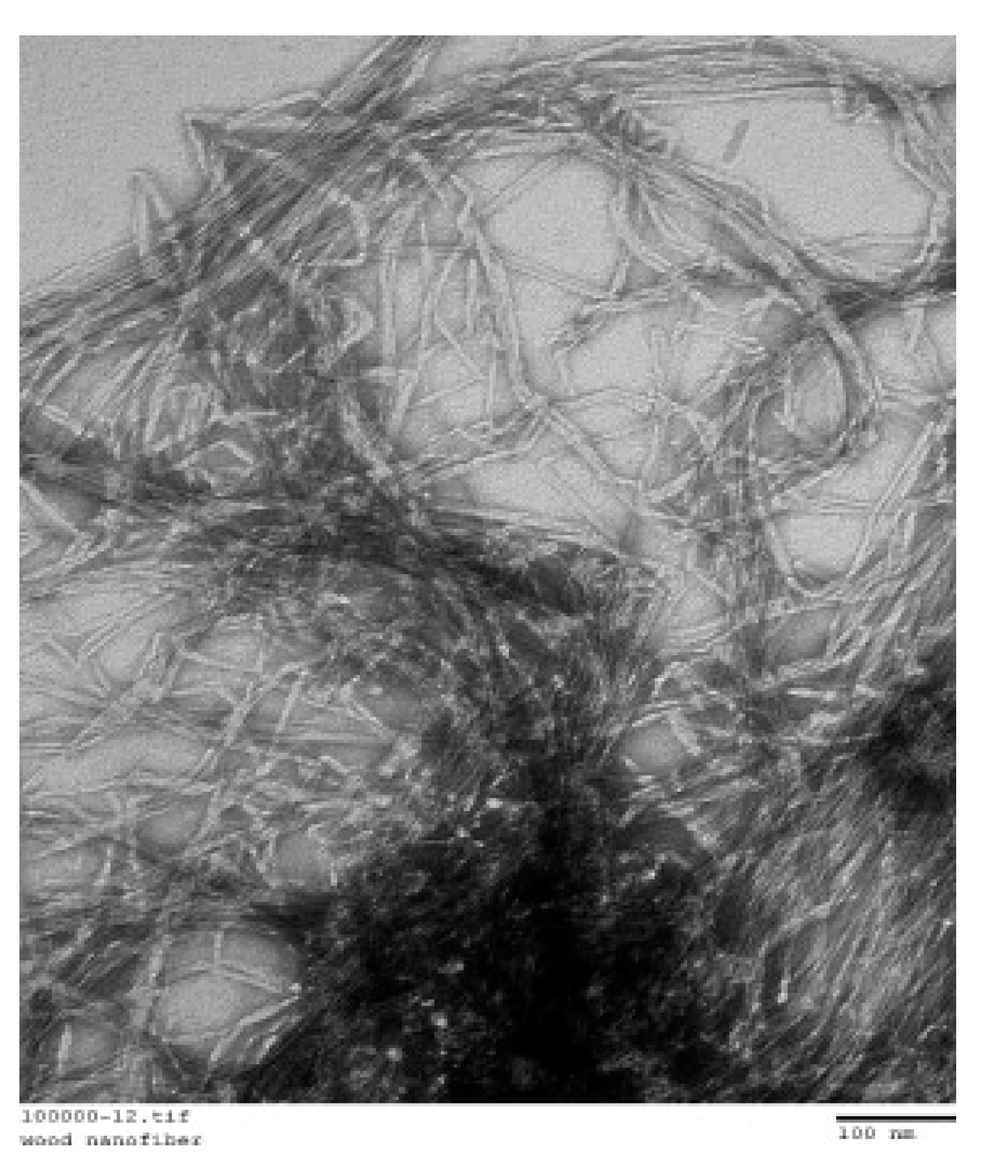 Molecules 26 01430 g006 Molecules 26 01430 g006