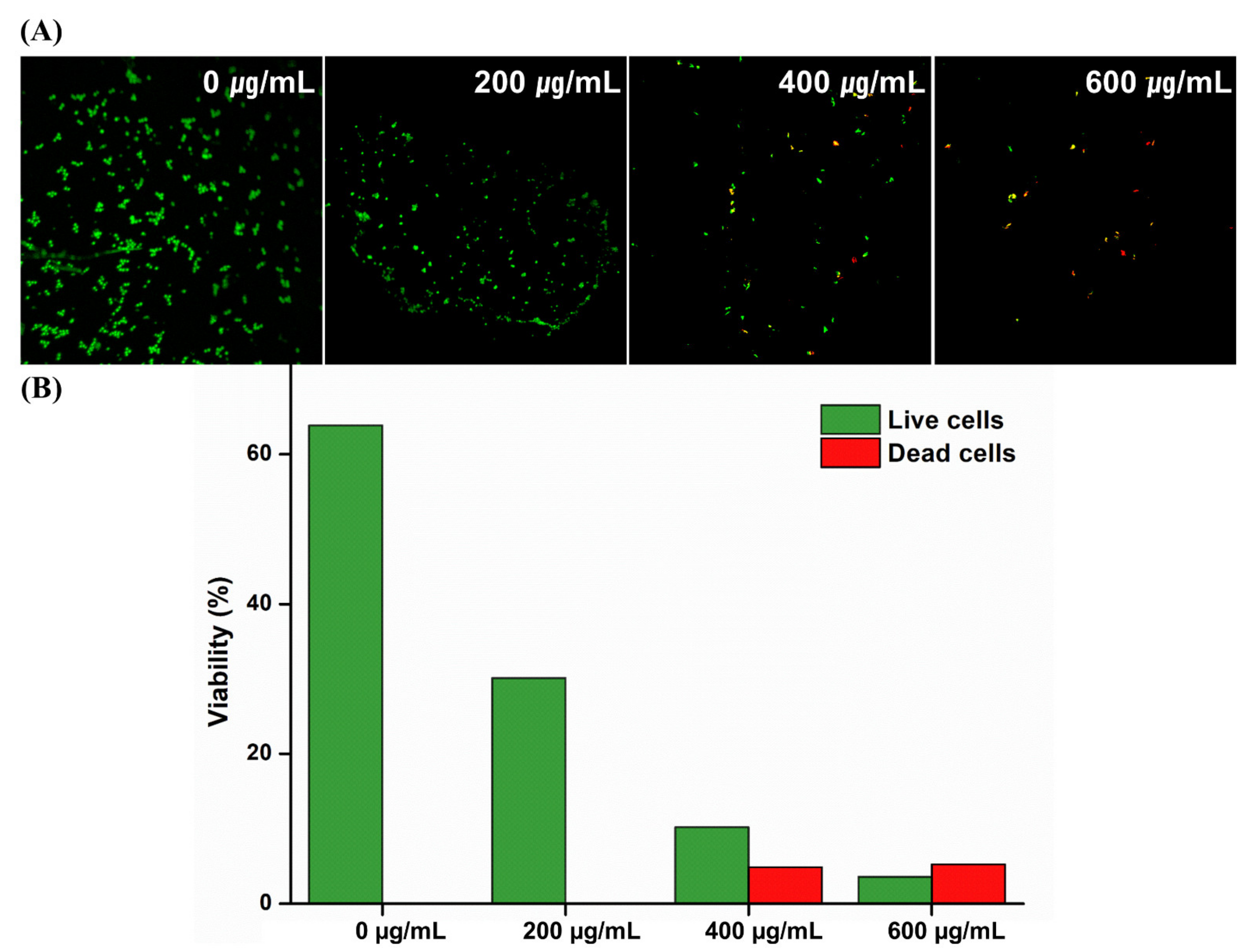 Molecules 26 01440 g005 Molecules 26 01440 g005