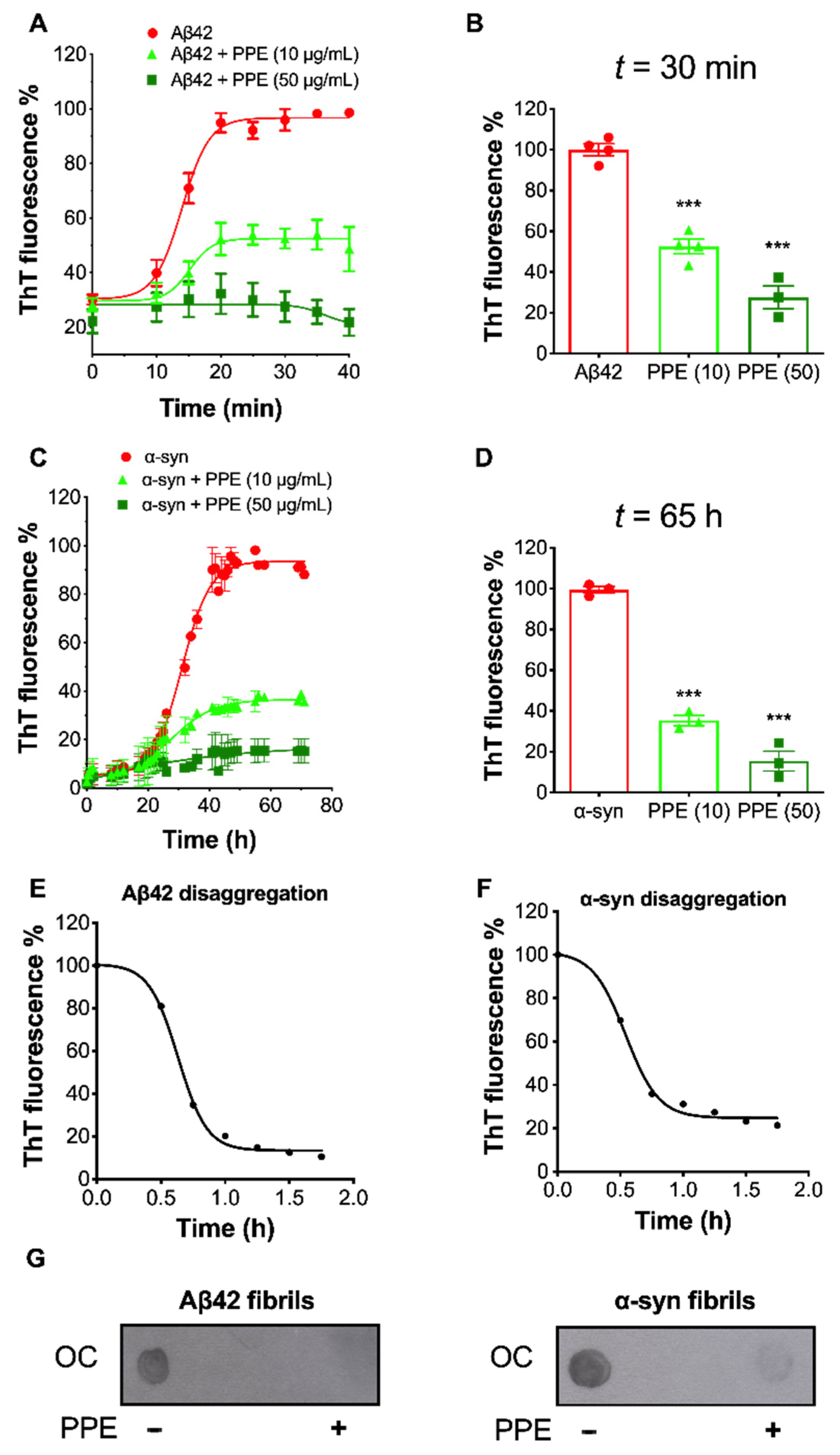 Molecules 26 01444 g005