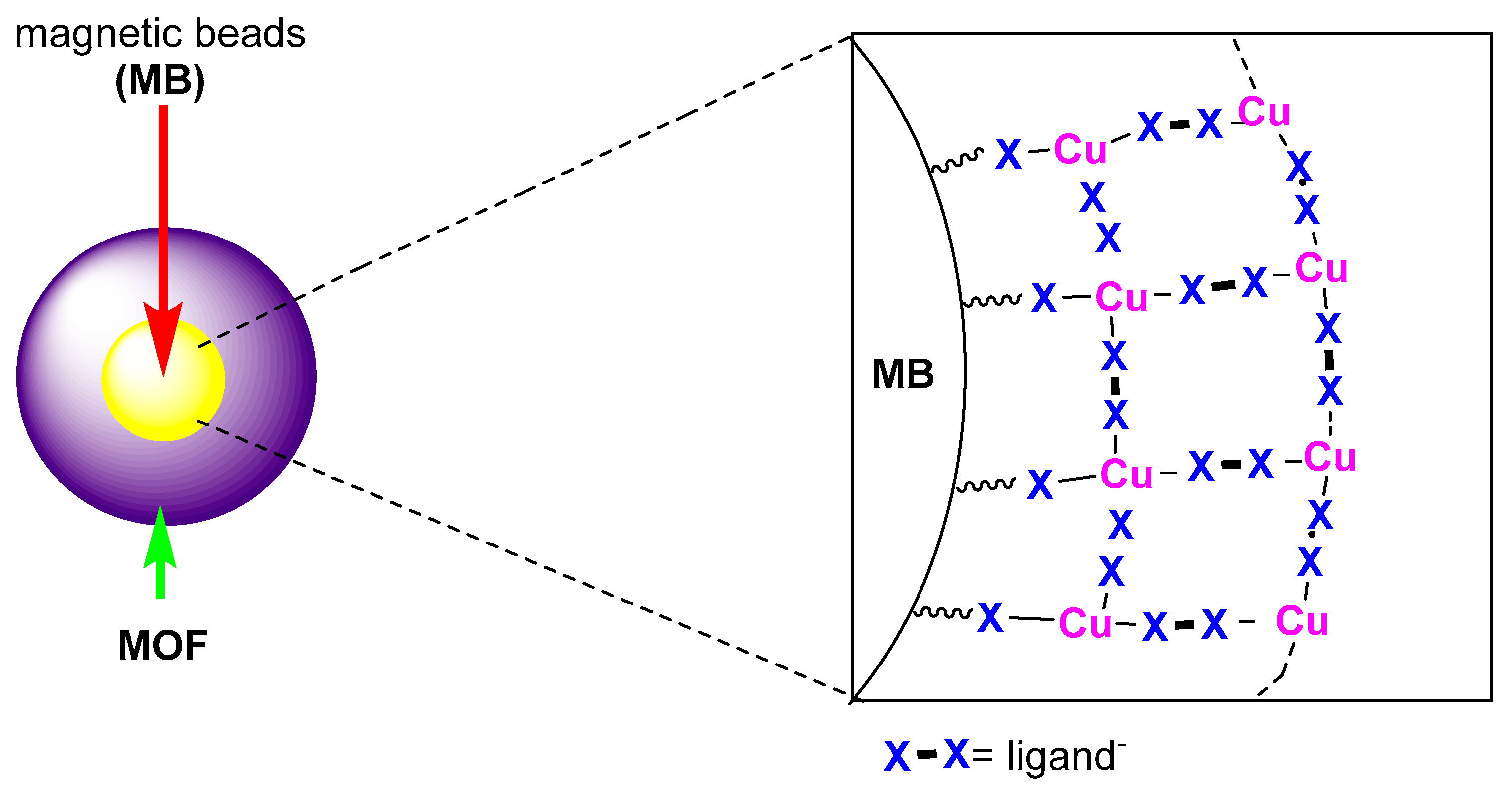 Molecules 26 01445 g003