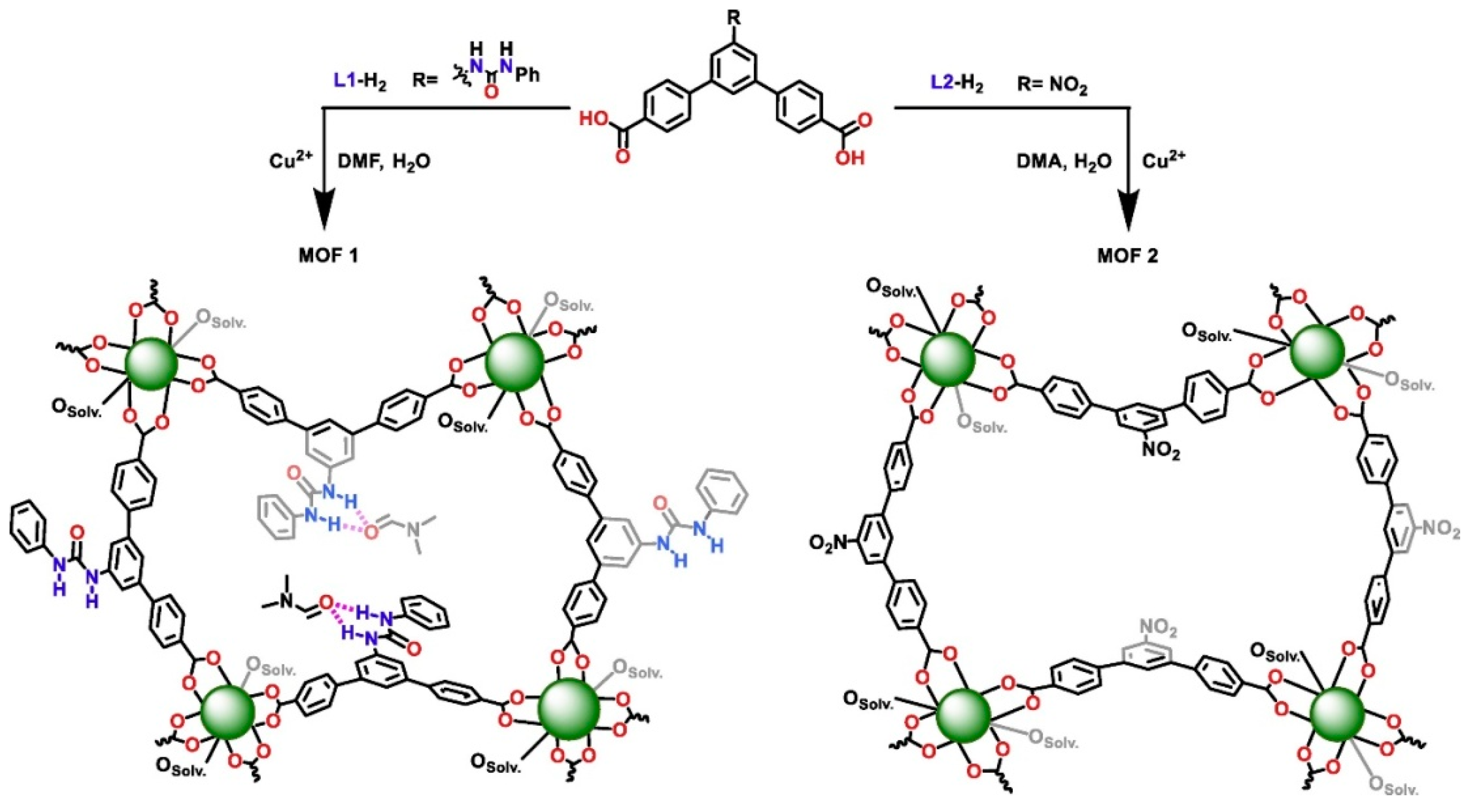 Molecules 26 01445 g005