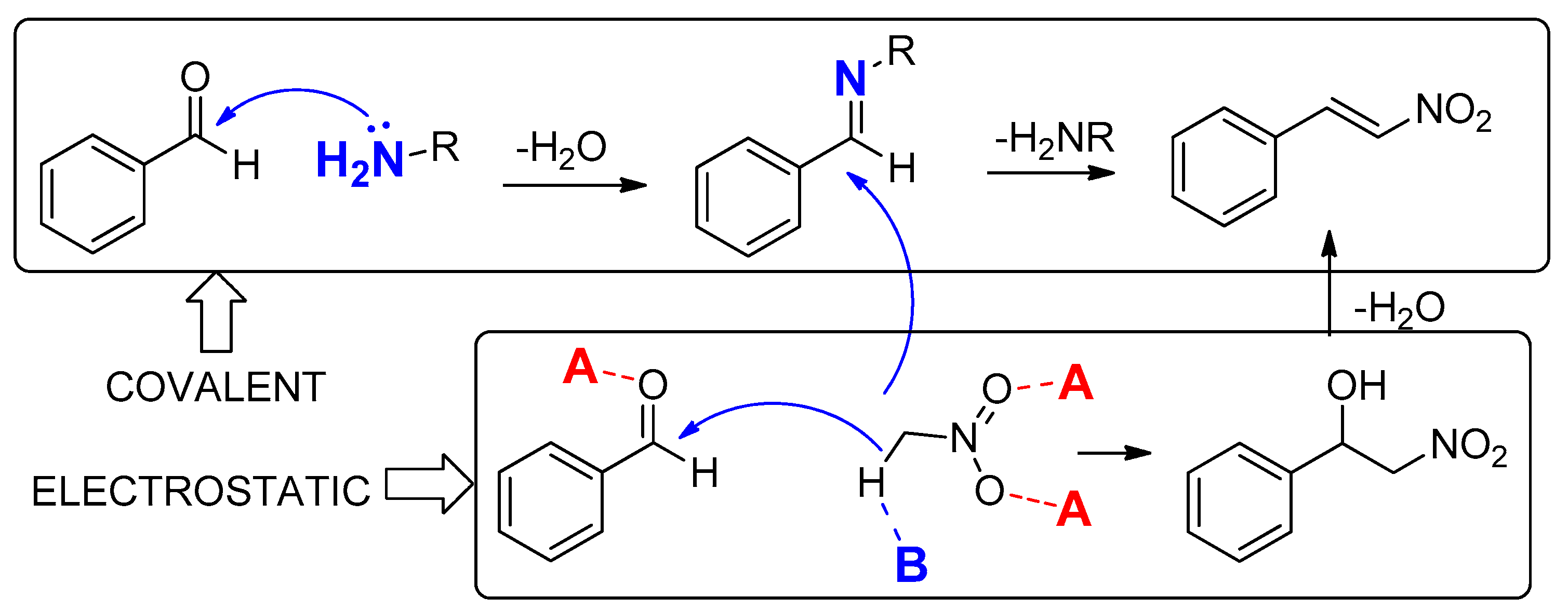 Molecules 26 01445 sch001