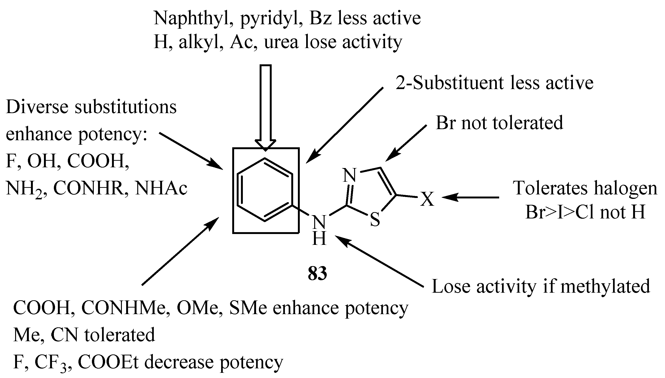 Molecules 26 01449 g001