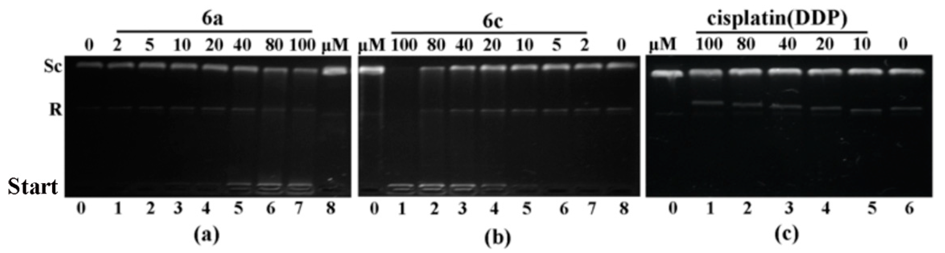 Molecules 26 01453 g002