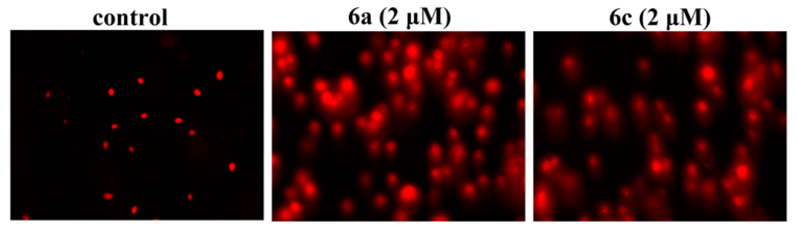 Molecules 26 01453 g003