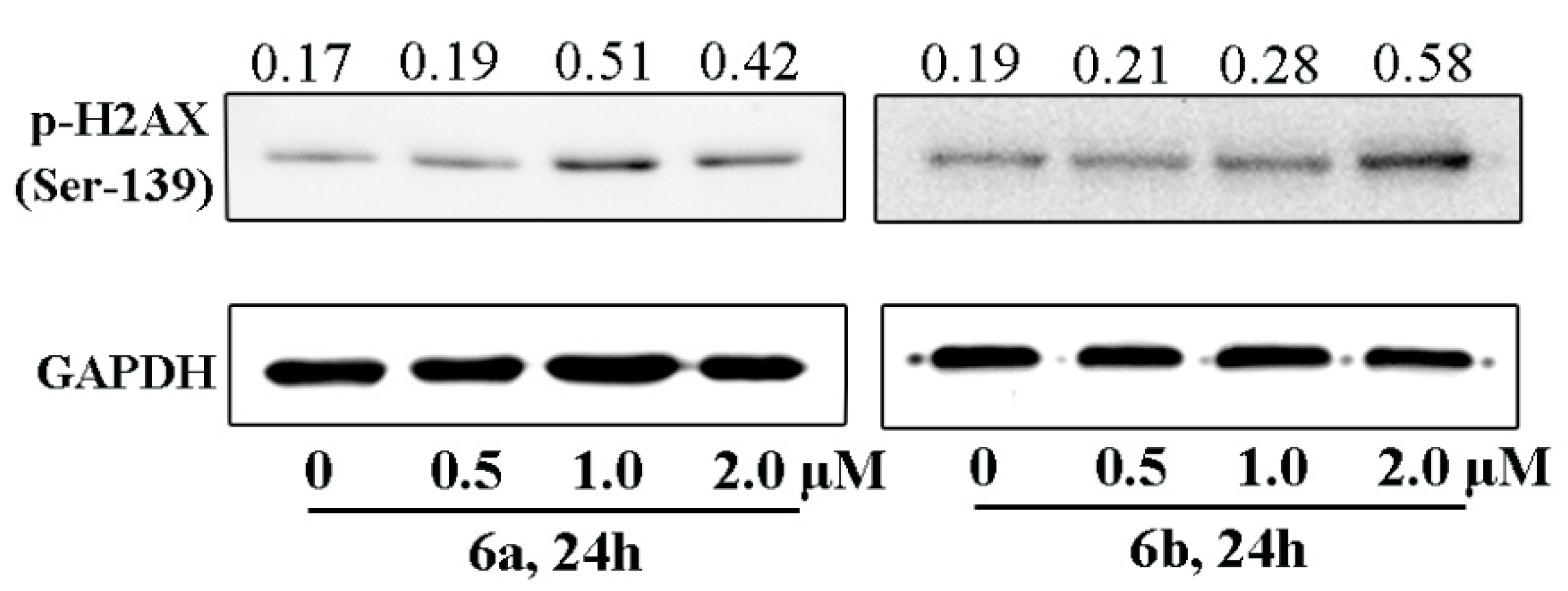 Molecules 26 01453 g004