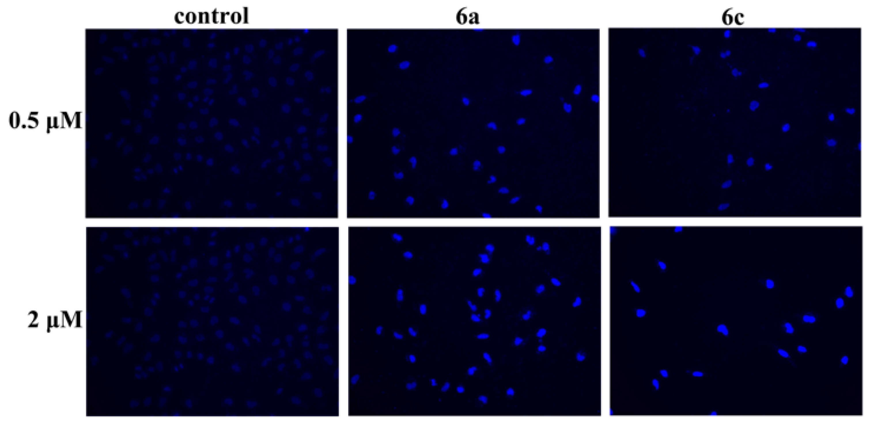Molecules 26 01453 g007