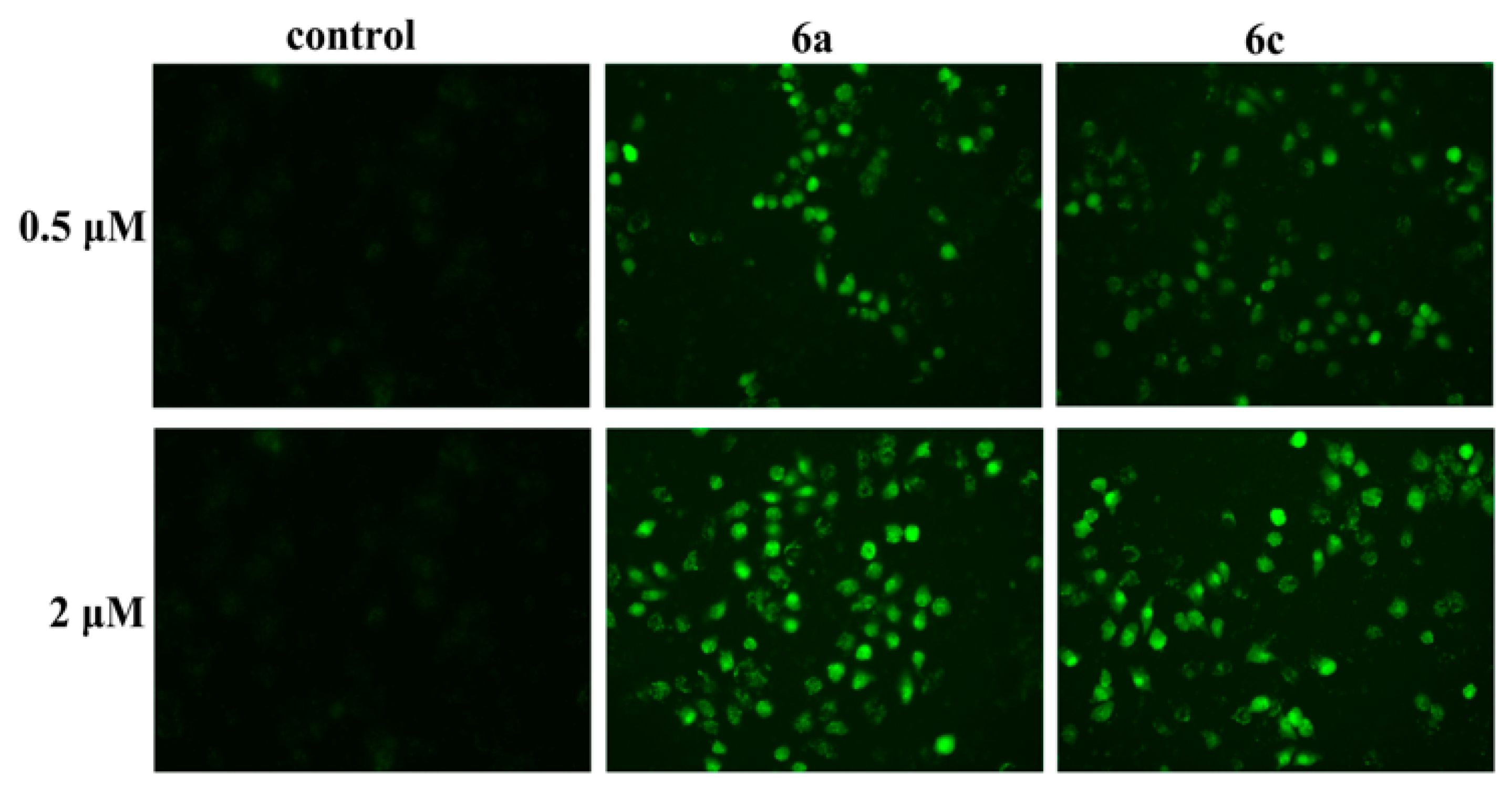 Molecules 26 01453 g009