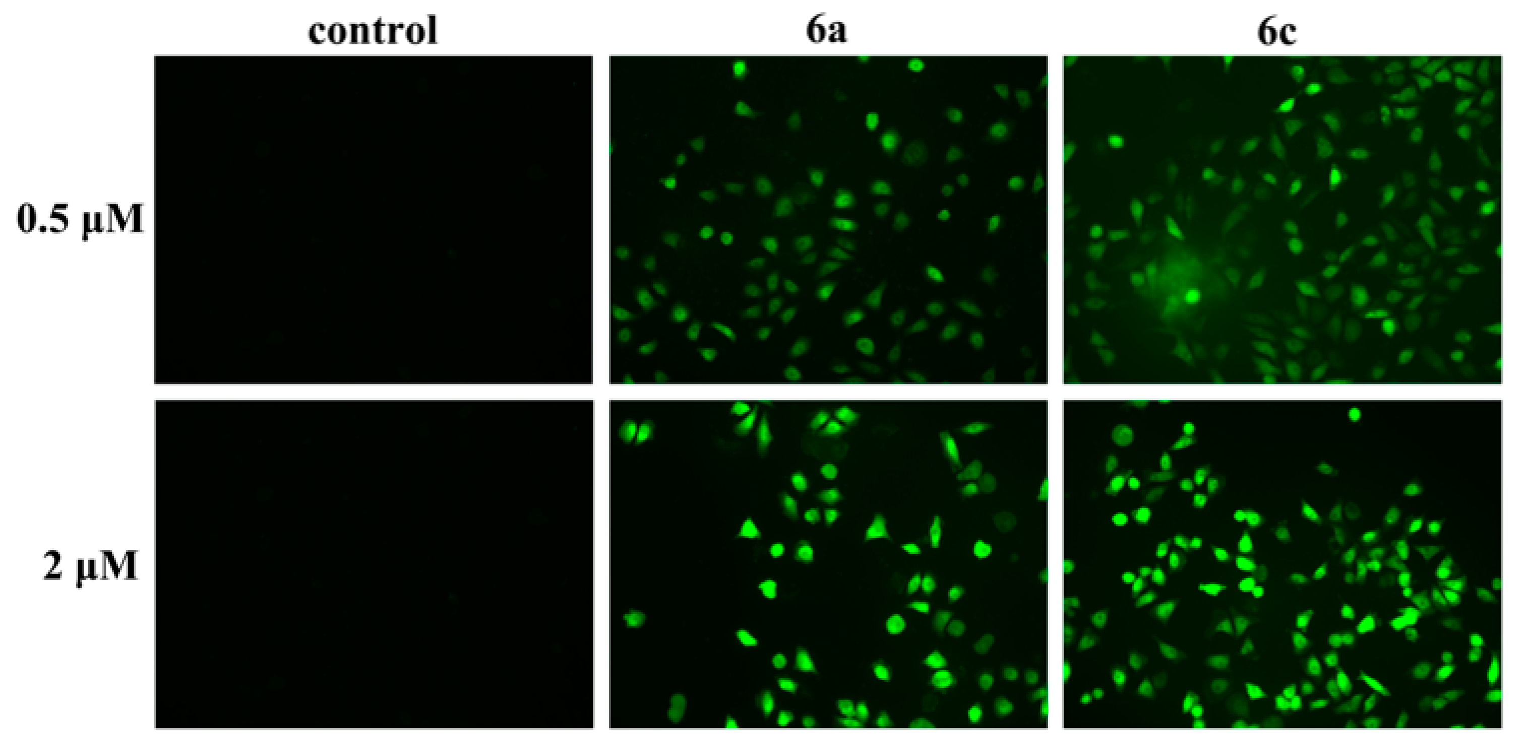 Molecules 26 01453 g010