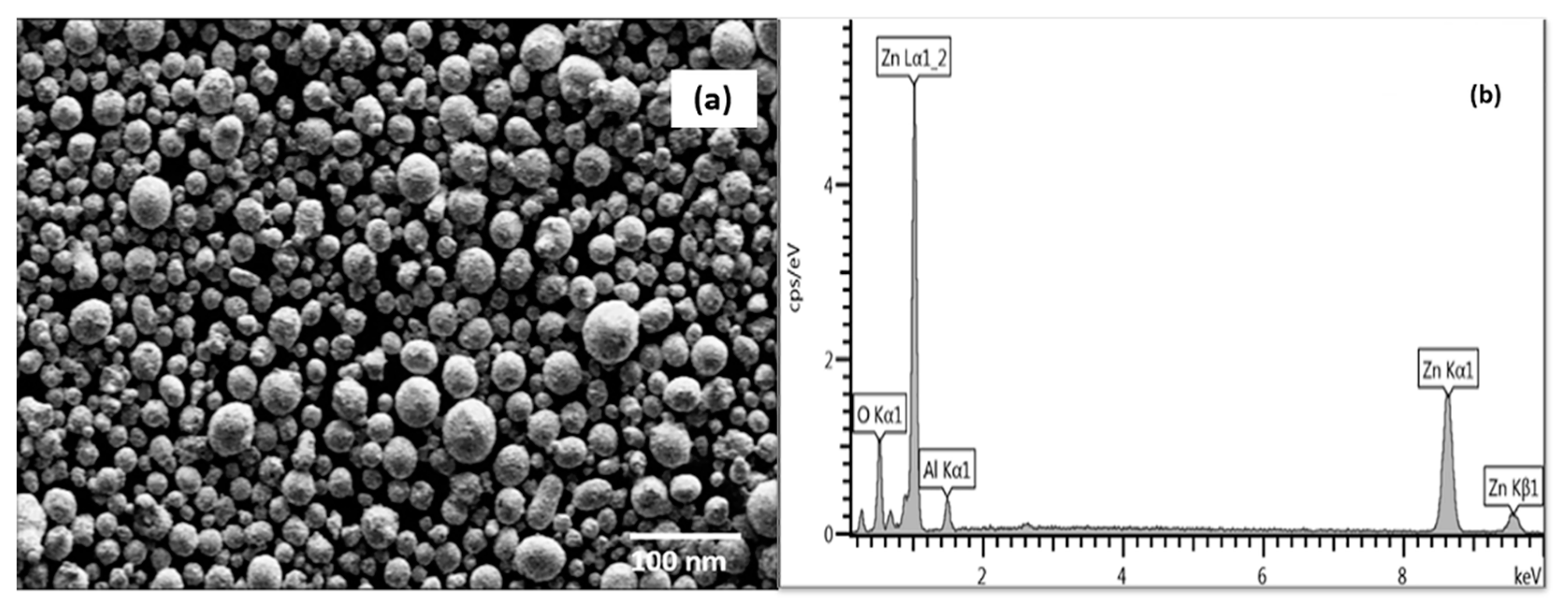Molecules 26 01456 g014