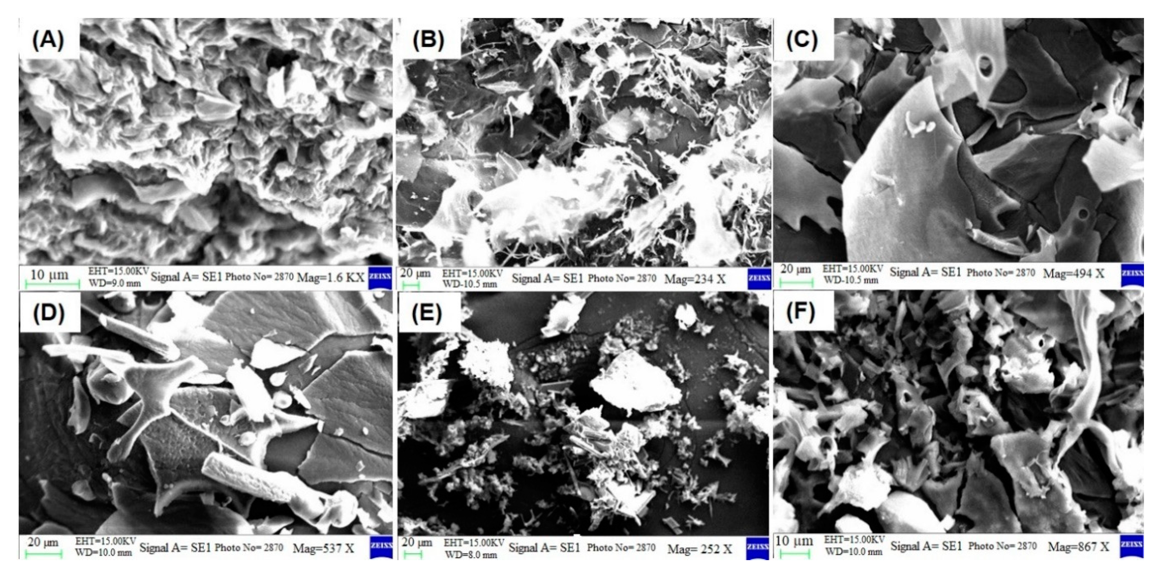 Molecules 26 01457 g004