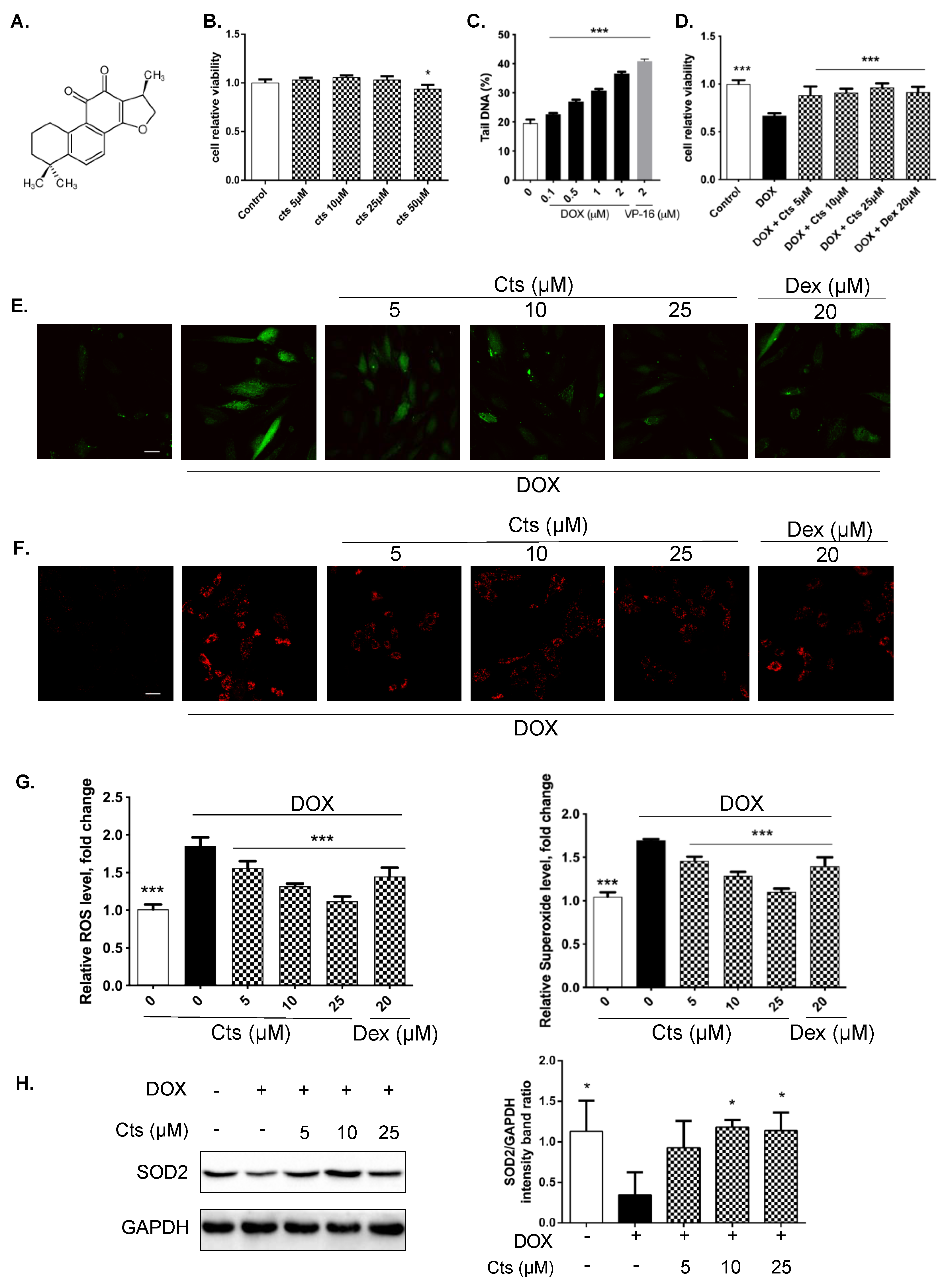 Molecules 26 01460 g001 Molecules 26 01460 g001
