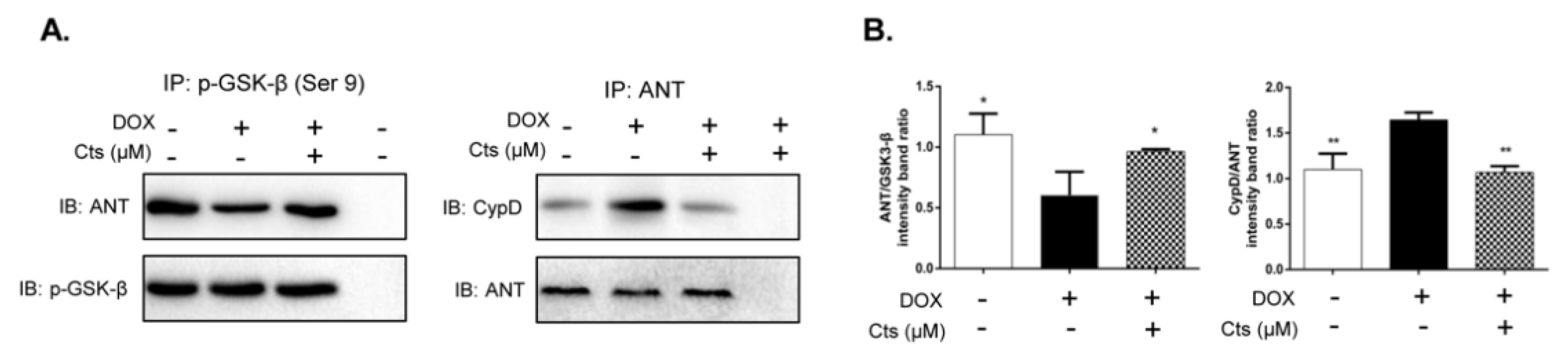 Molecules 26 01460 g005 Molecules 26 01460 g005