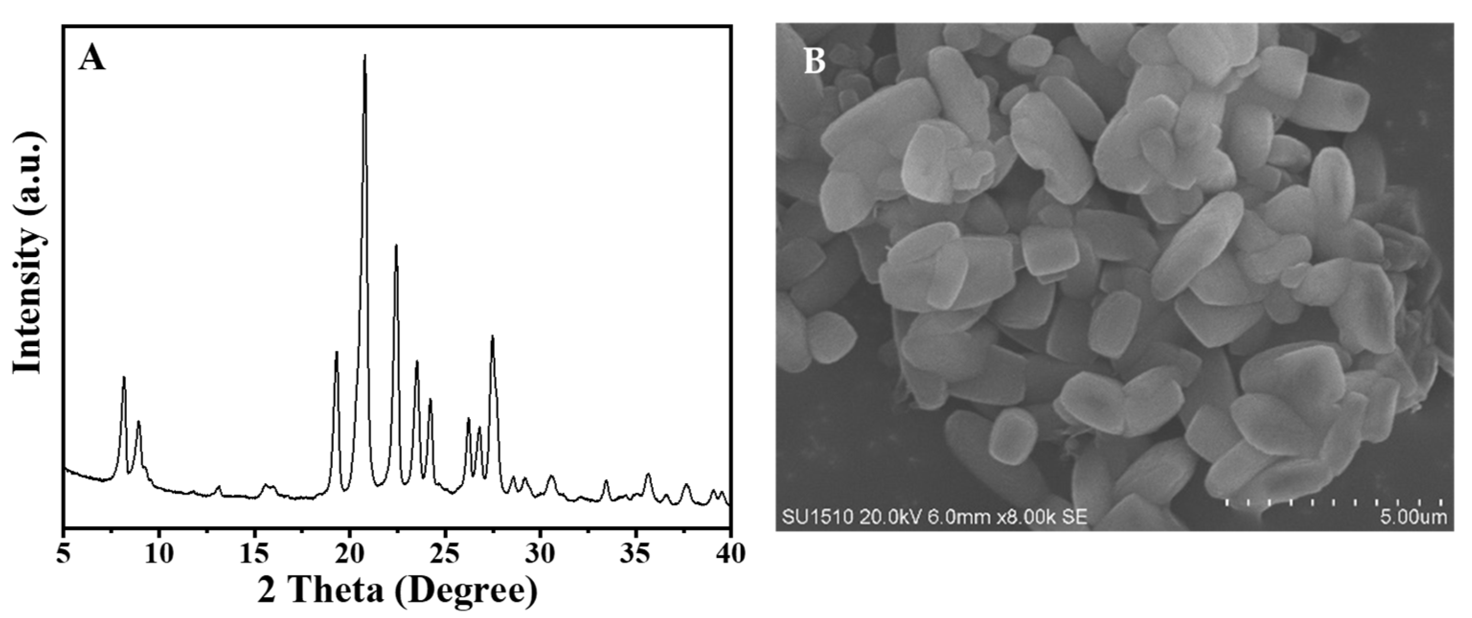 Molecules 26 01462 g001 Molecules 26 01462 g001