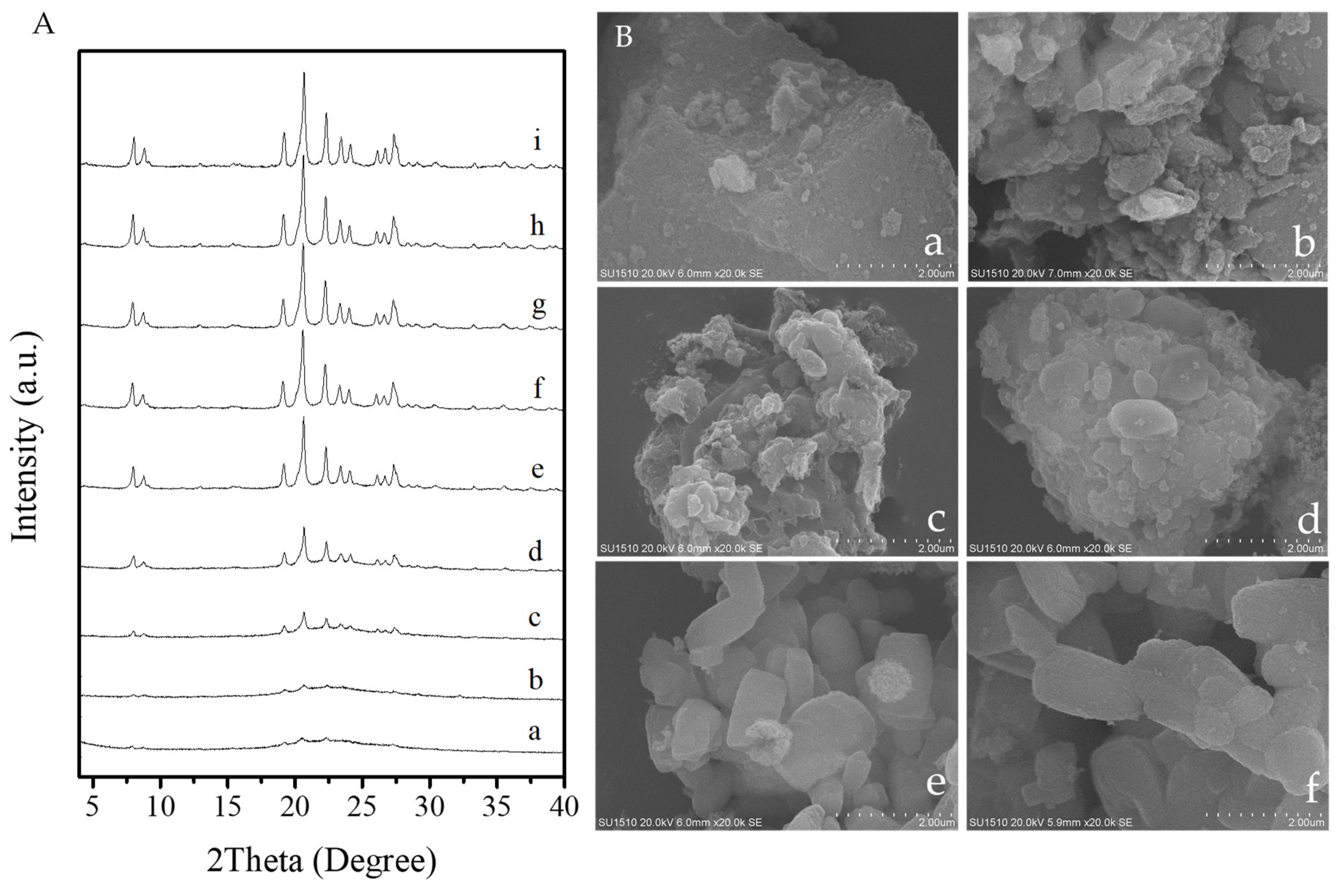 Molecules 26 01462 g009 Molecules 26 01462 g009