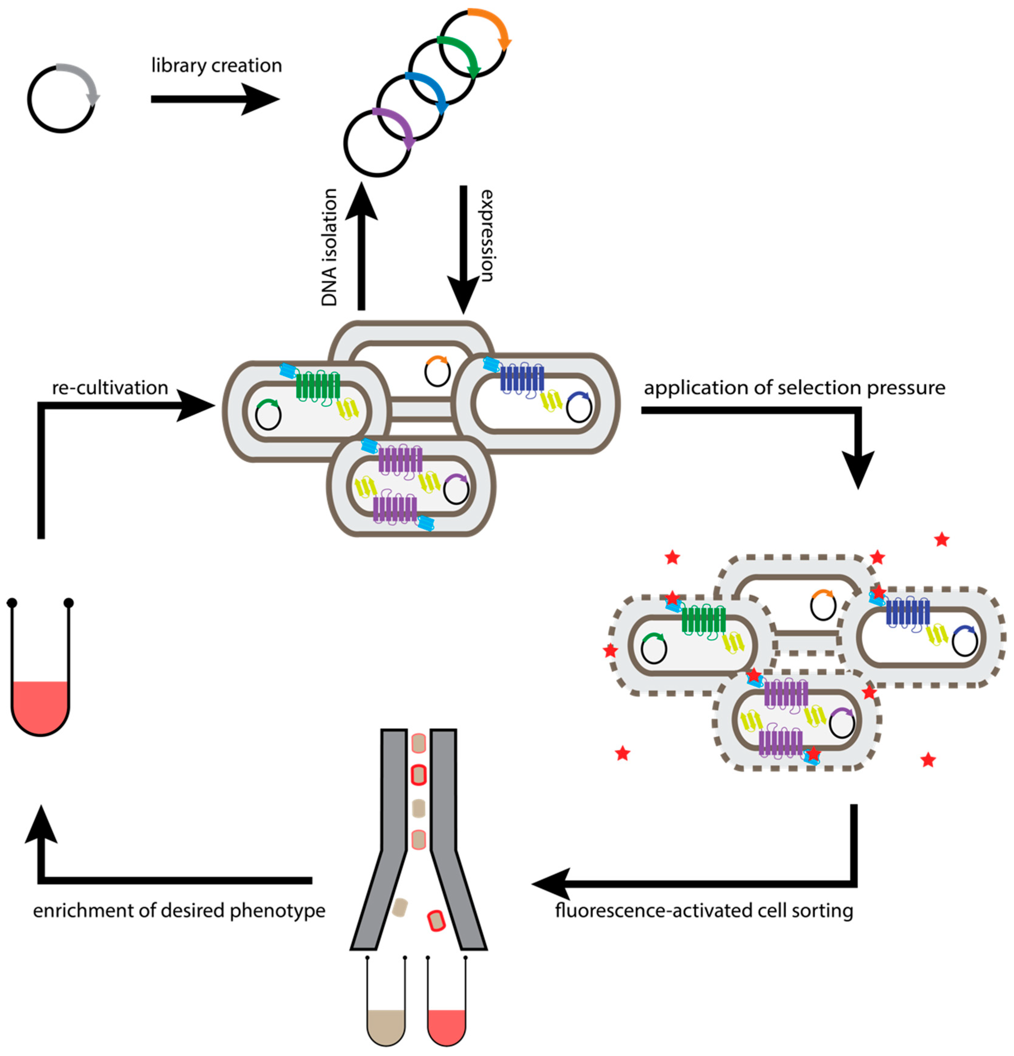 Molecules 26 01465 g002