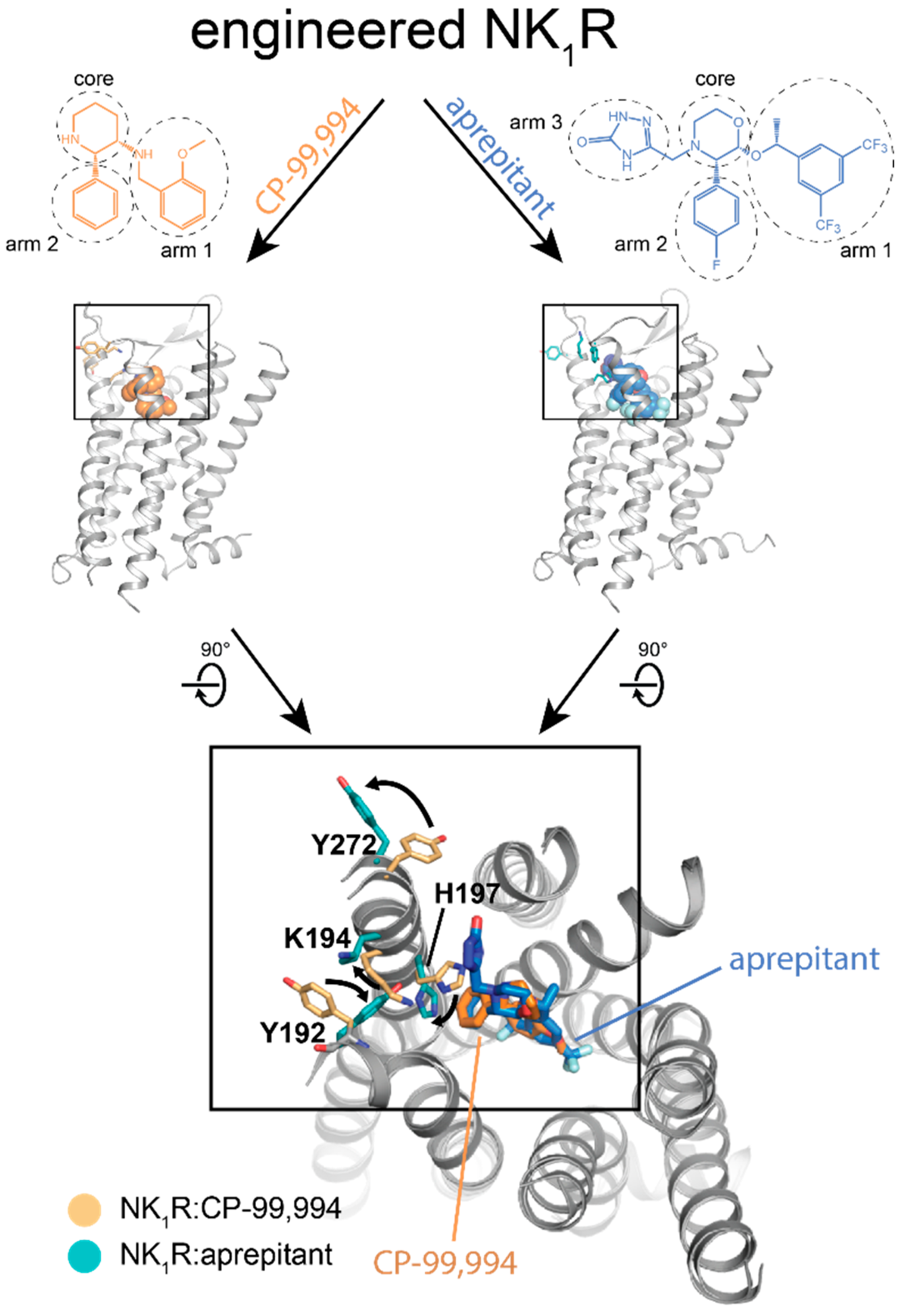 Molecules 26 01465 g006
