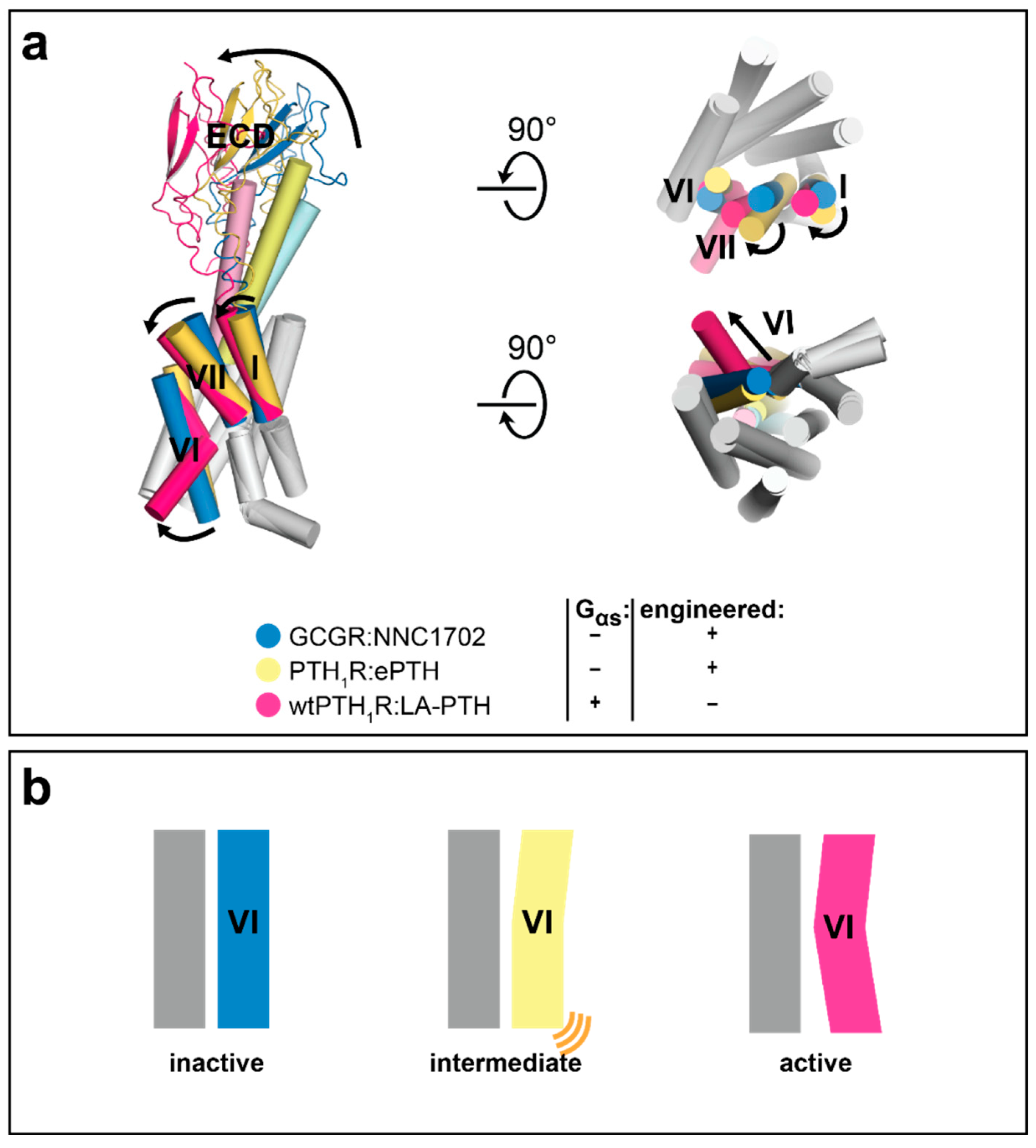 Molecules 26 01465 g007