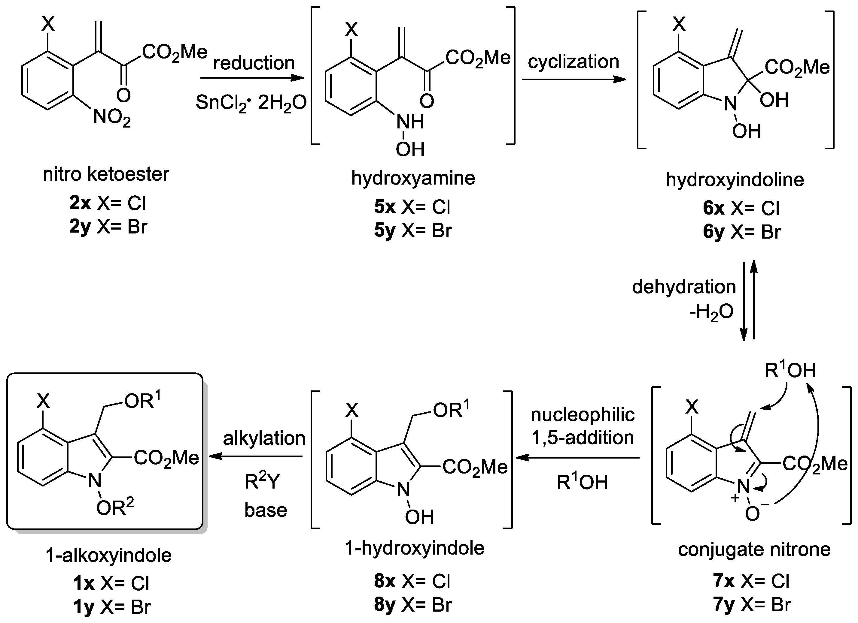 Molecules 26 01466 sch002