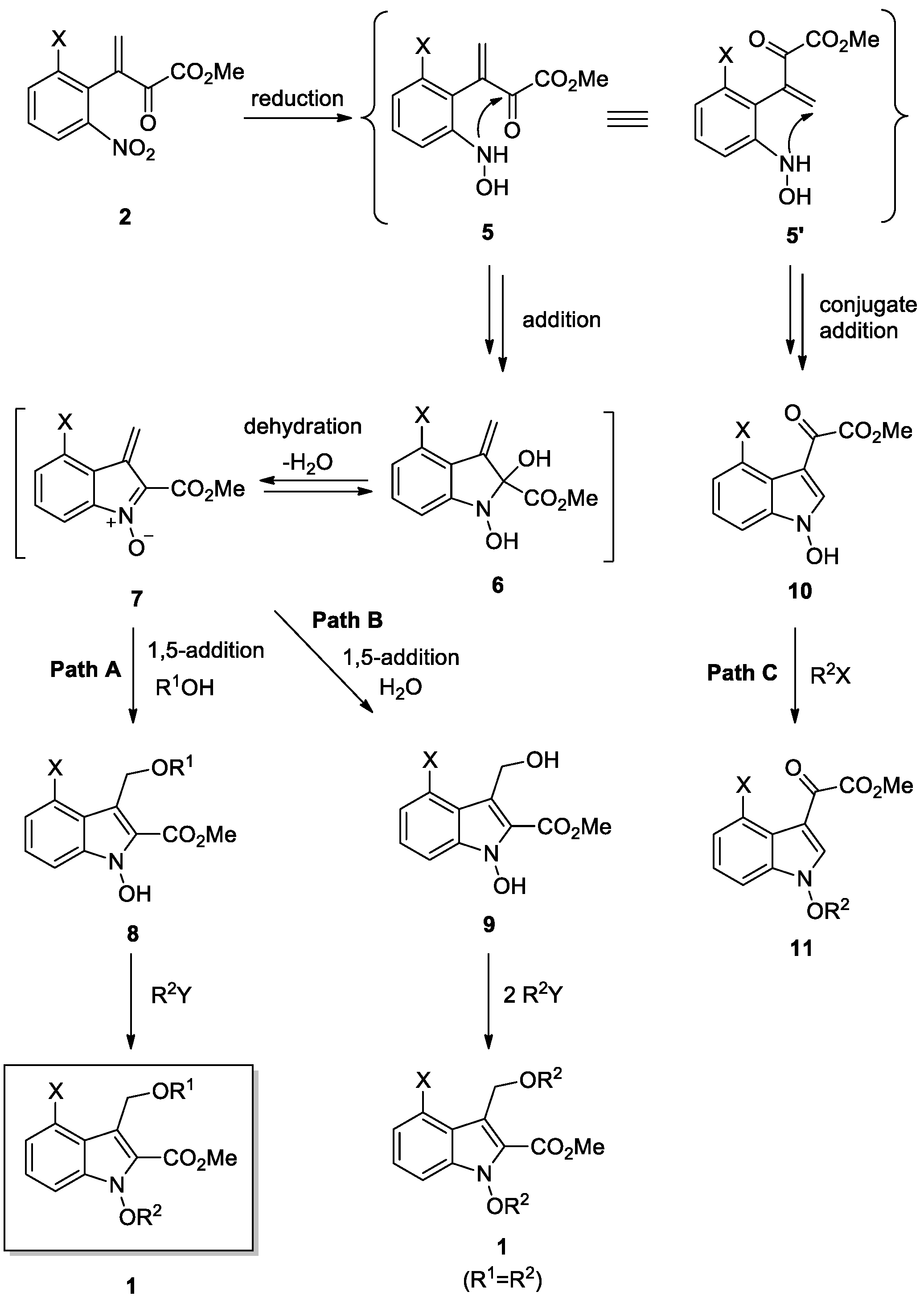 Molecules 26 01466 sch003
