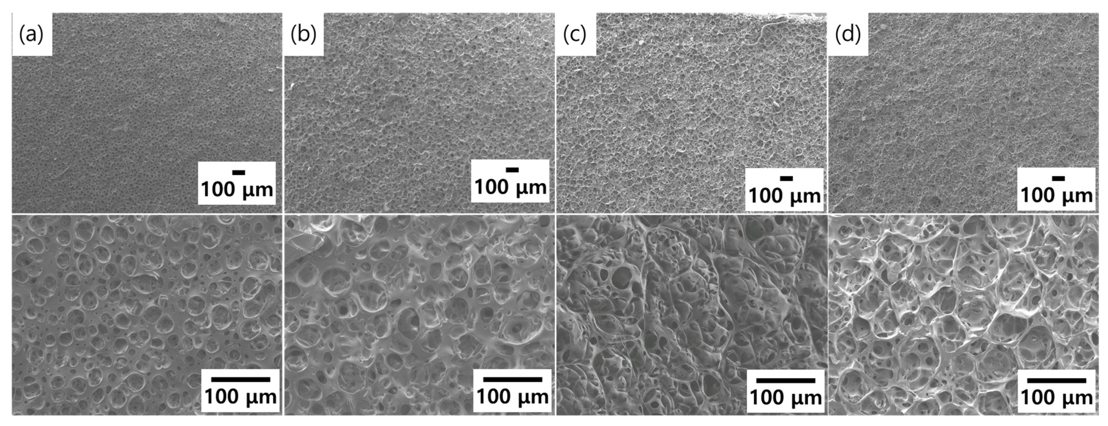 Molecules 26 01471 g003 Molecules 26 01471 g003