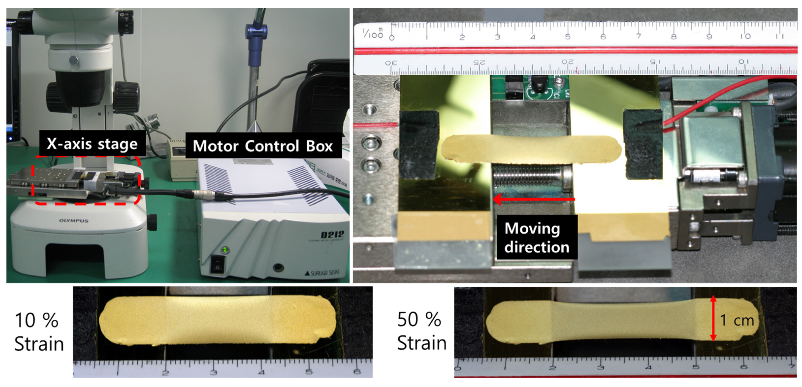 Molecules 26 01471 g008 Molecules 26 01471 g008