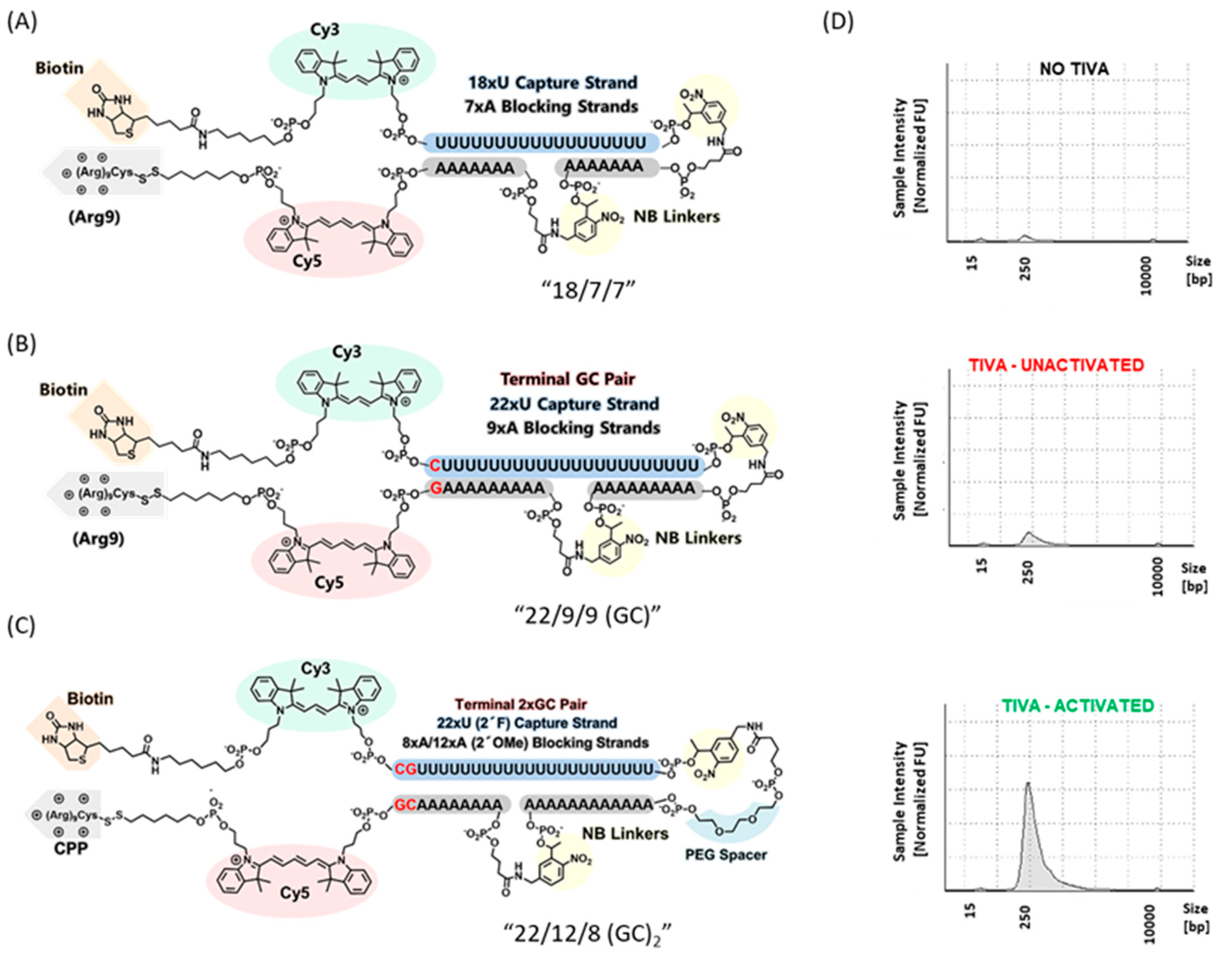 Molecules 26 01481 g003 Molecules 26 01481 g003