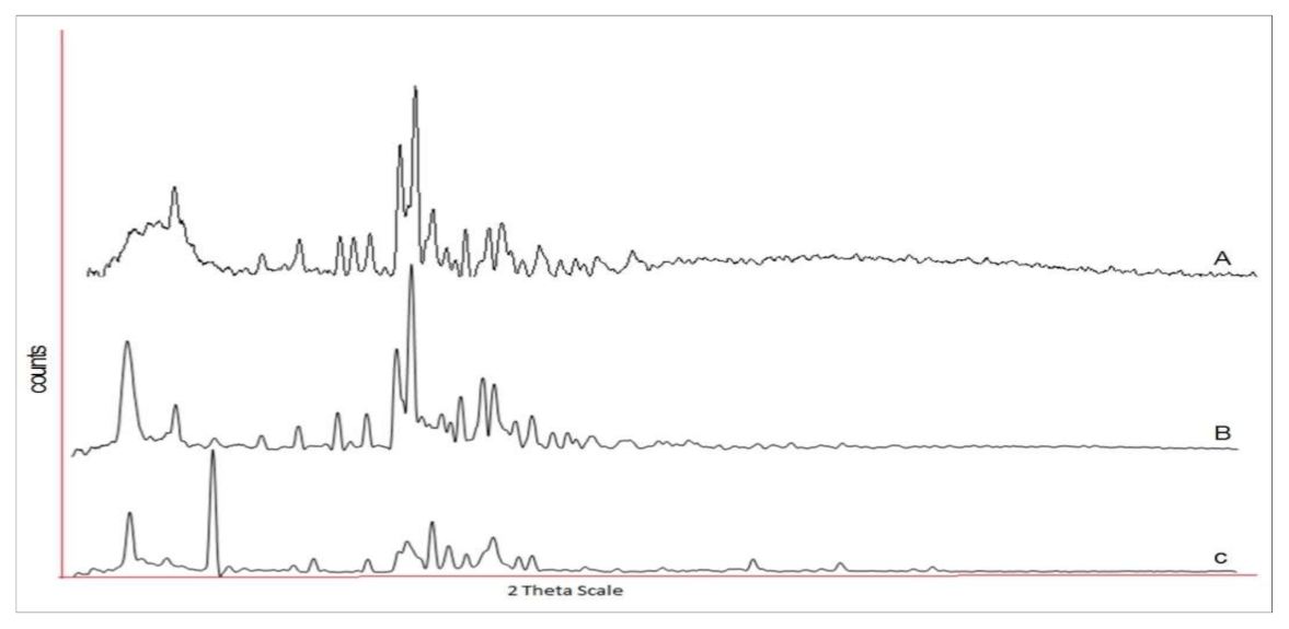 Molecules 26 01485 g006 Molecules 26 01485 g006