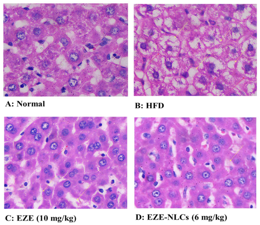 Molecules 26 01485 g008 Molecules 26 01485 g008