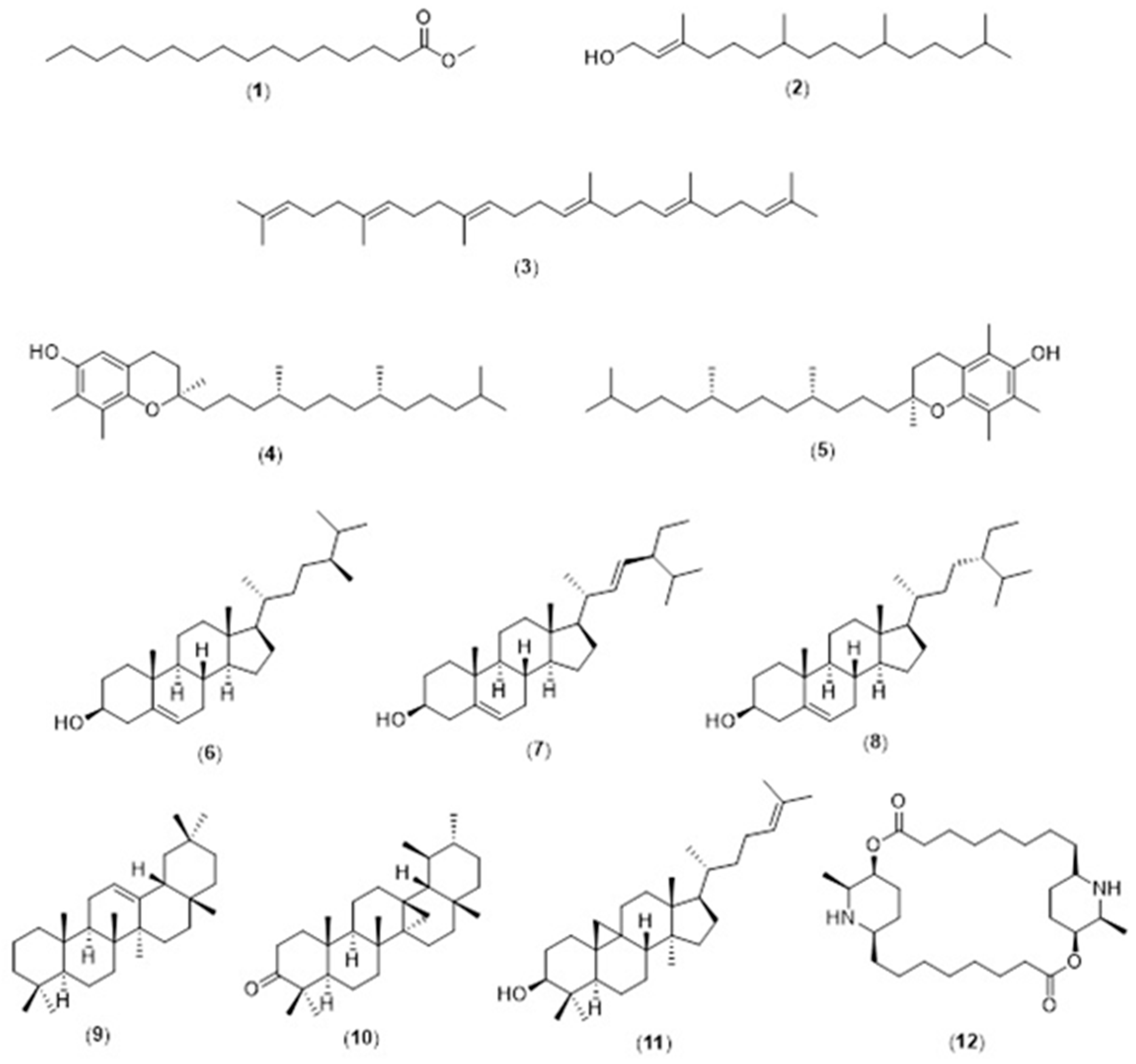 Molecules 26 01489 g002 Molecules 26 01489 g002