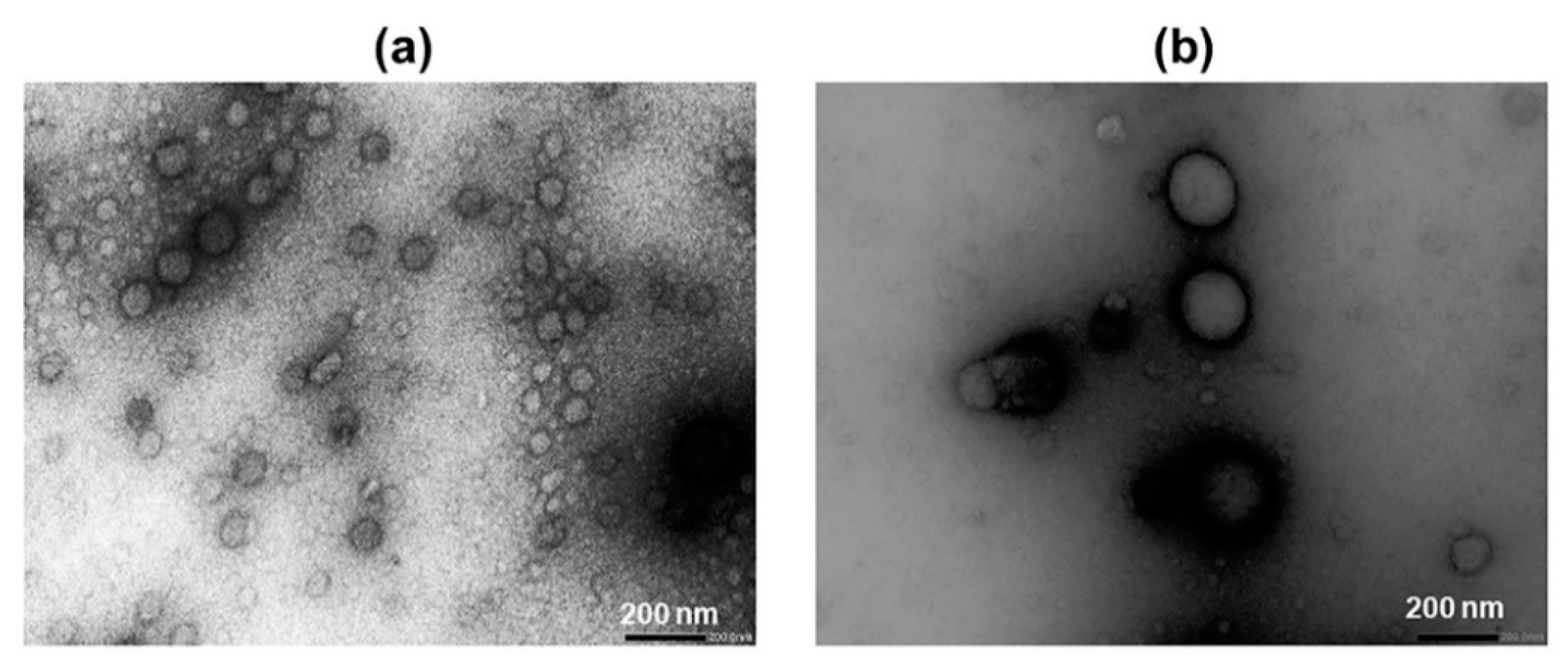 Molecules 26 01492 g002 Molecules 26 01492 g002