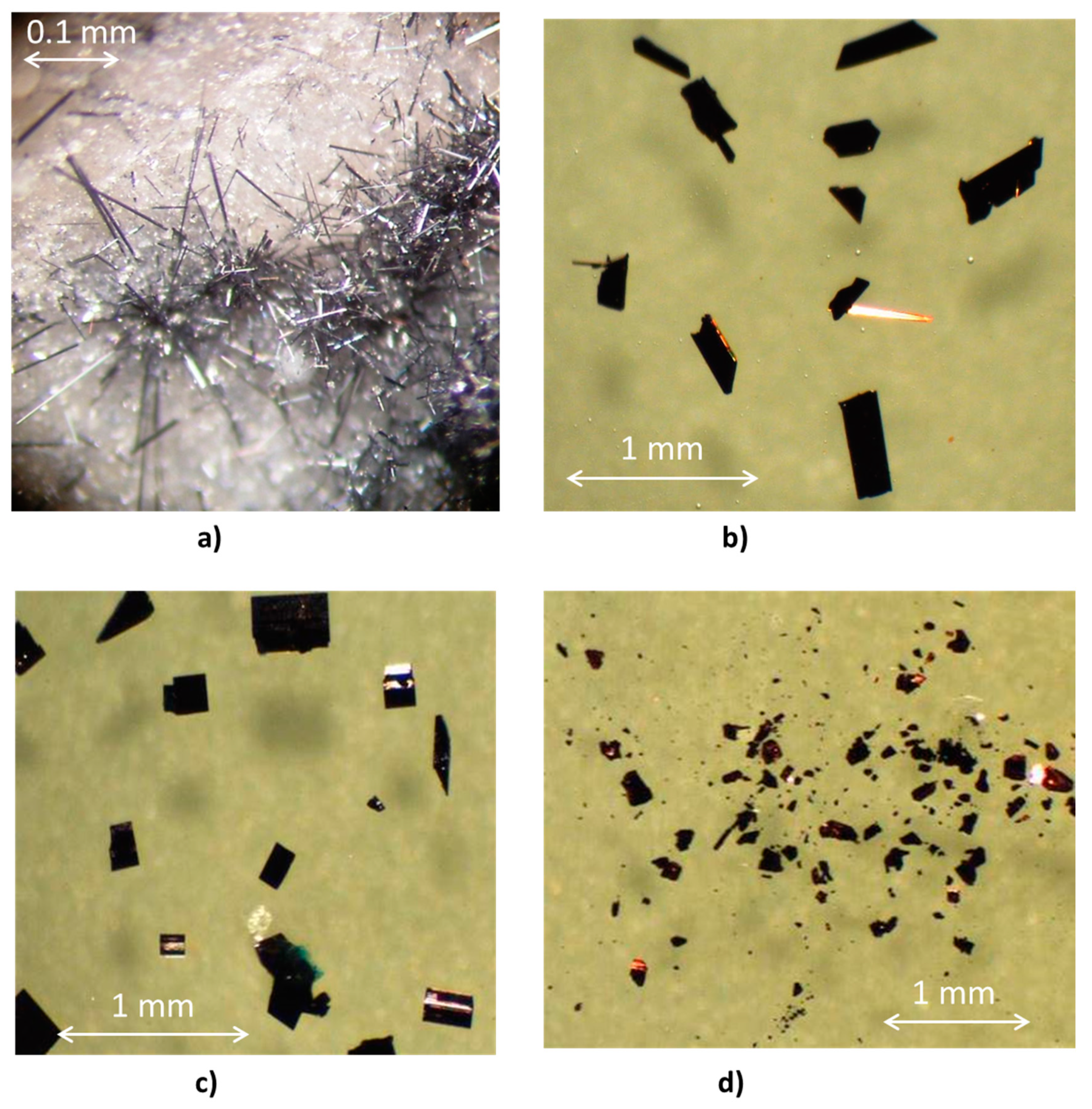 Molecules 26 01494 g001