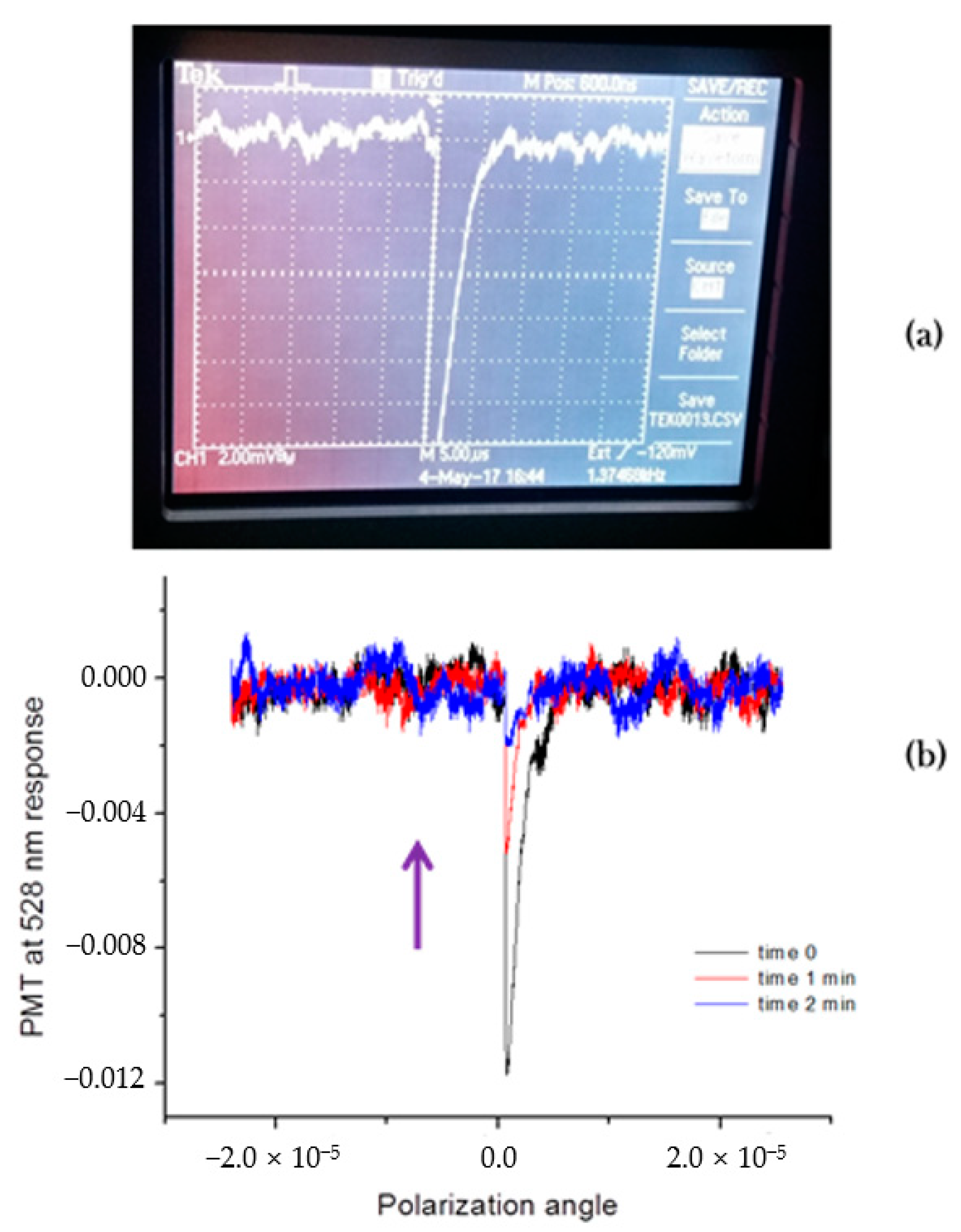 Molecules 26 01494 g002