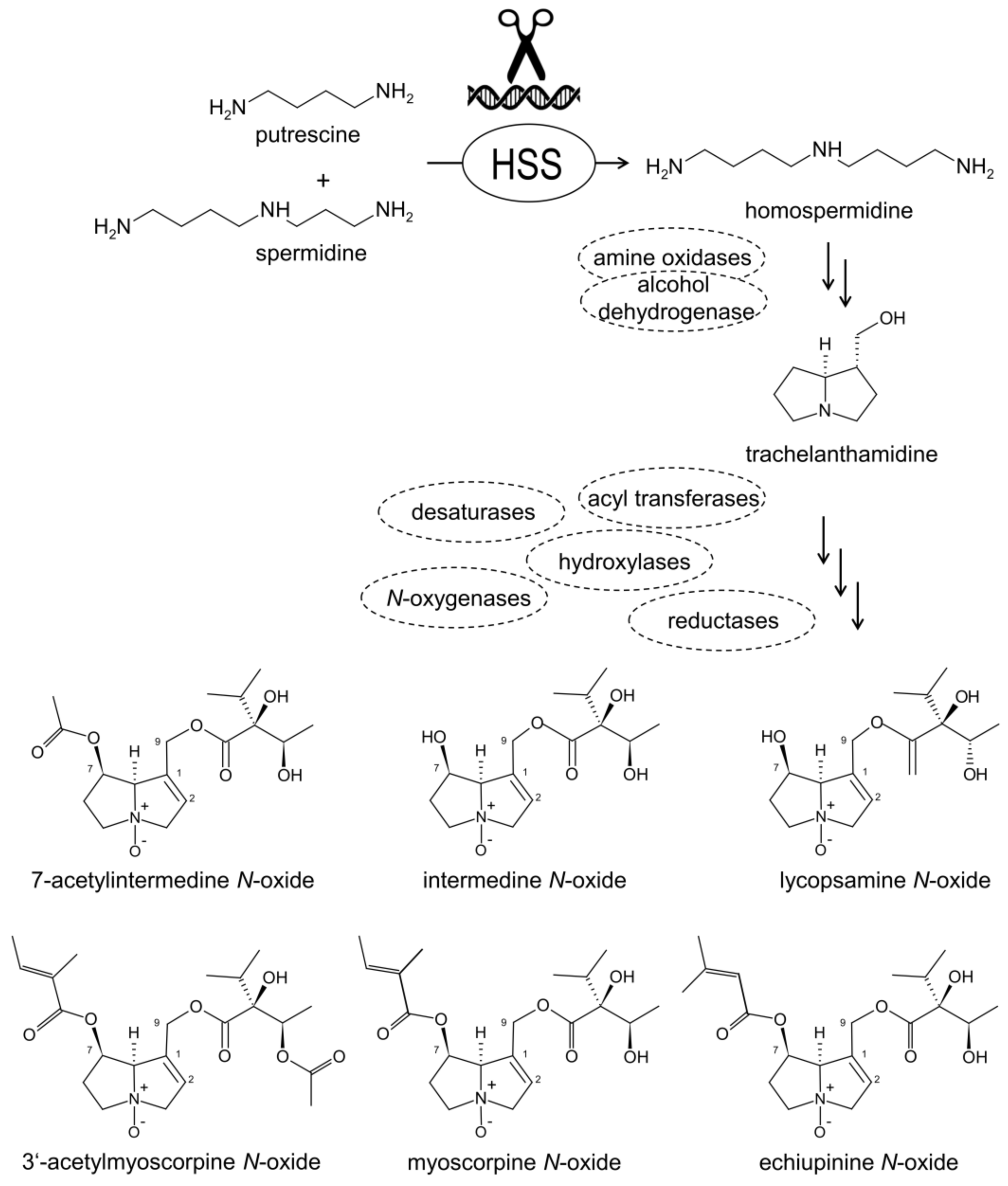 Molecules 26 01498 g001 Molecules 26 01498 g001