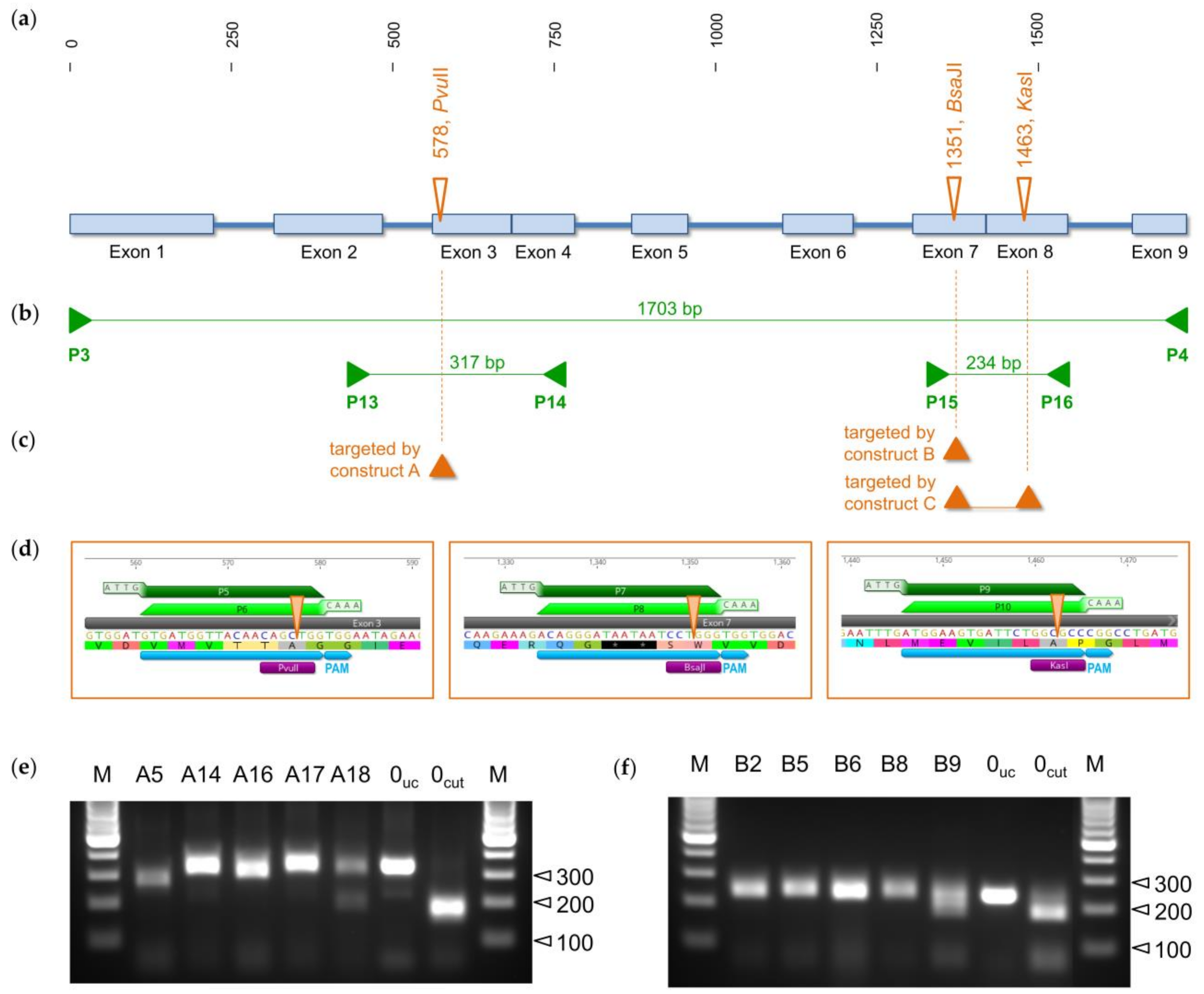Molecules 26 01498 g002 Molecules 26 01498 g002