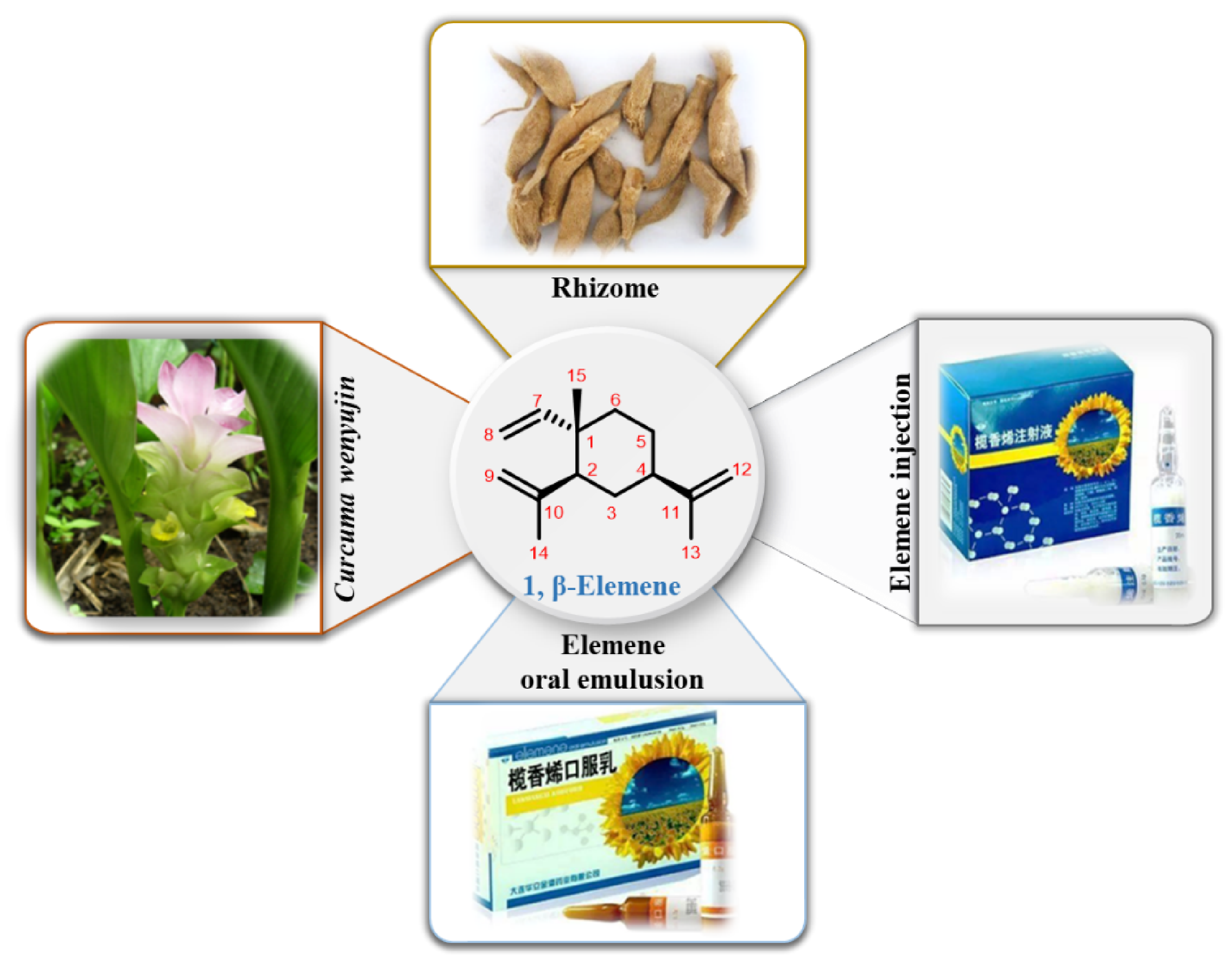Molecules 26 01499 g001