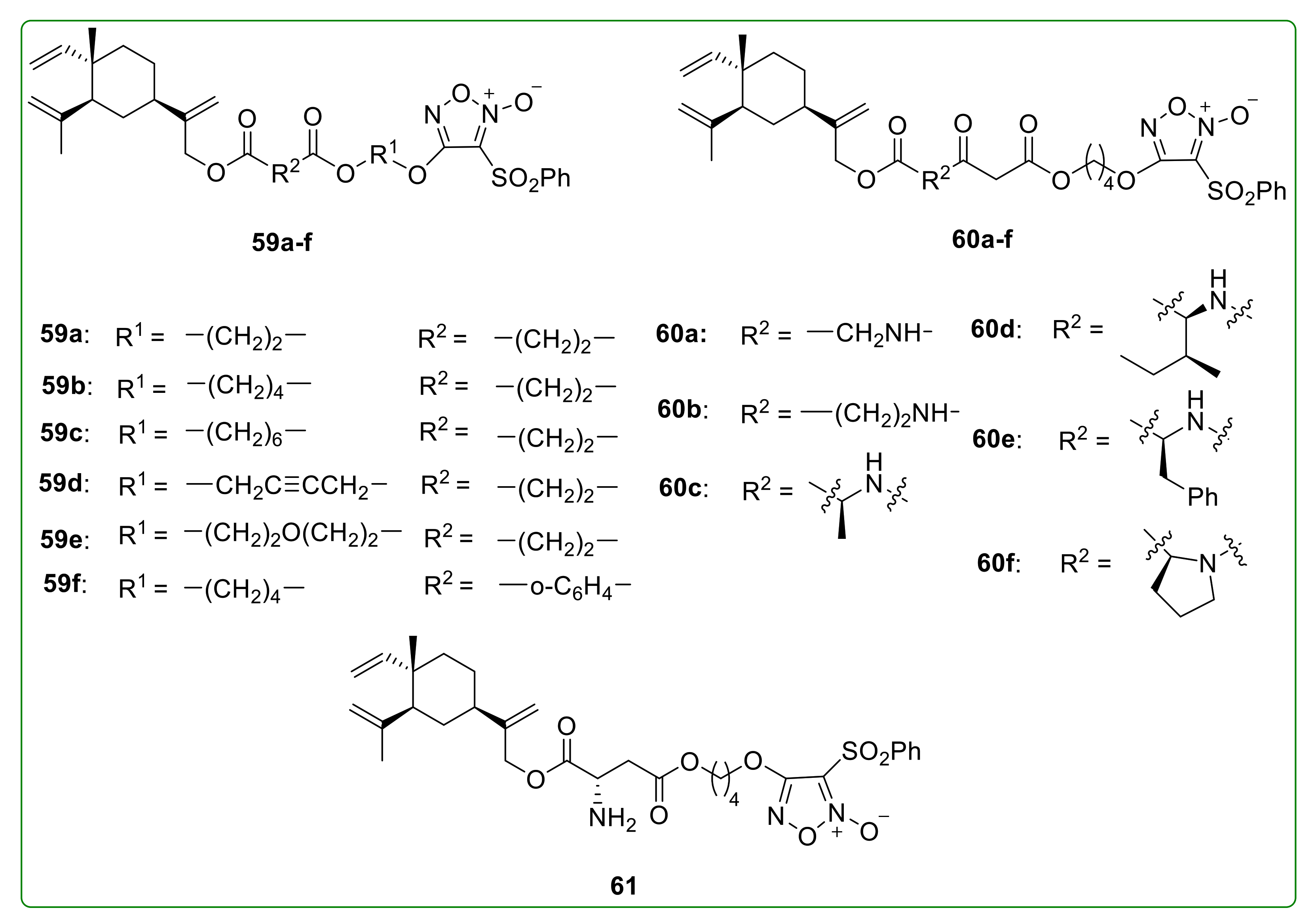 Molecules 26 01499 g020