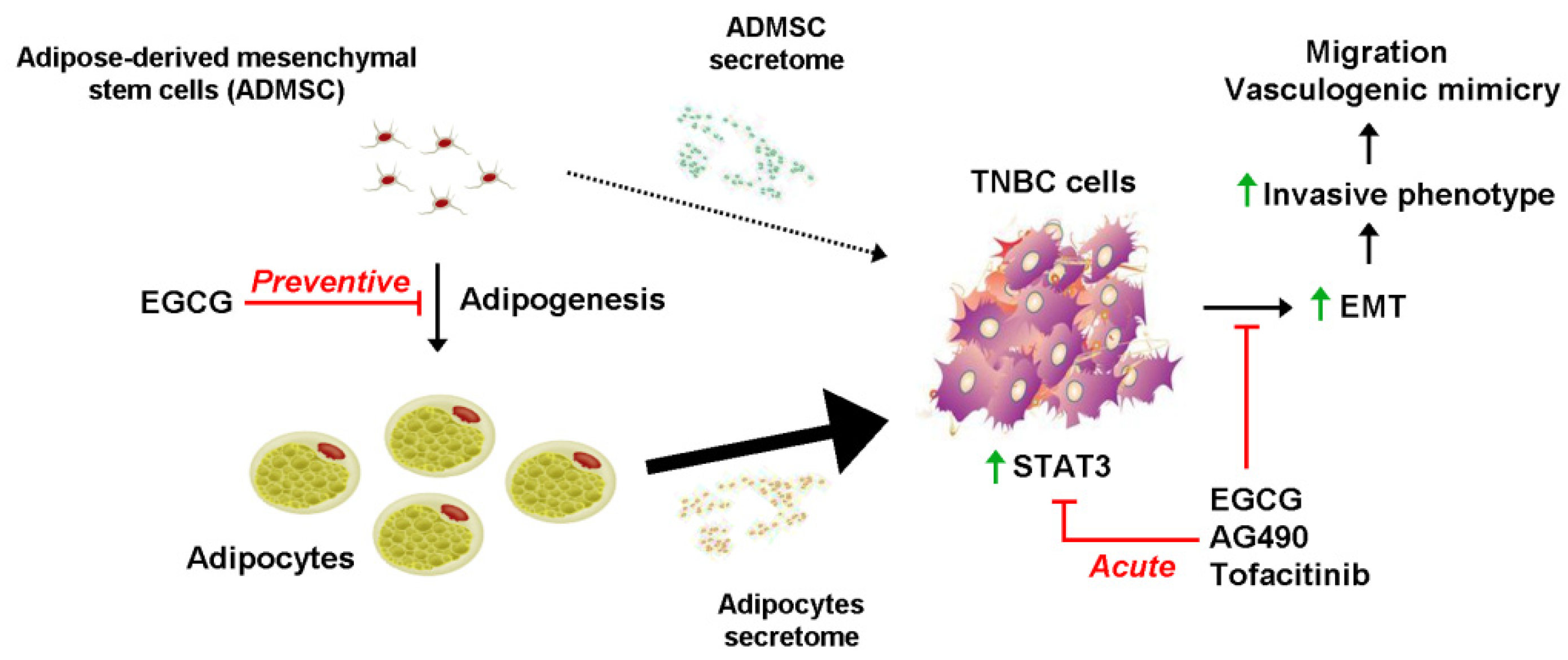 Molecules 26 01506 g007